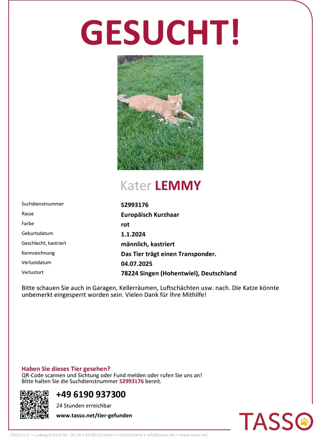 Lemmy - Im Winkel, Singen