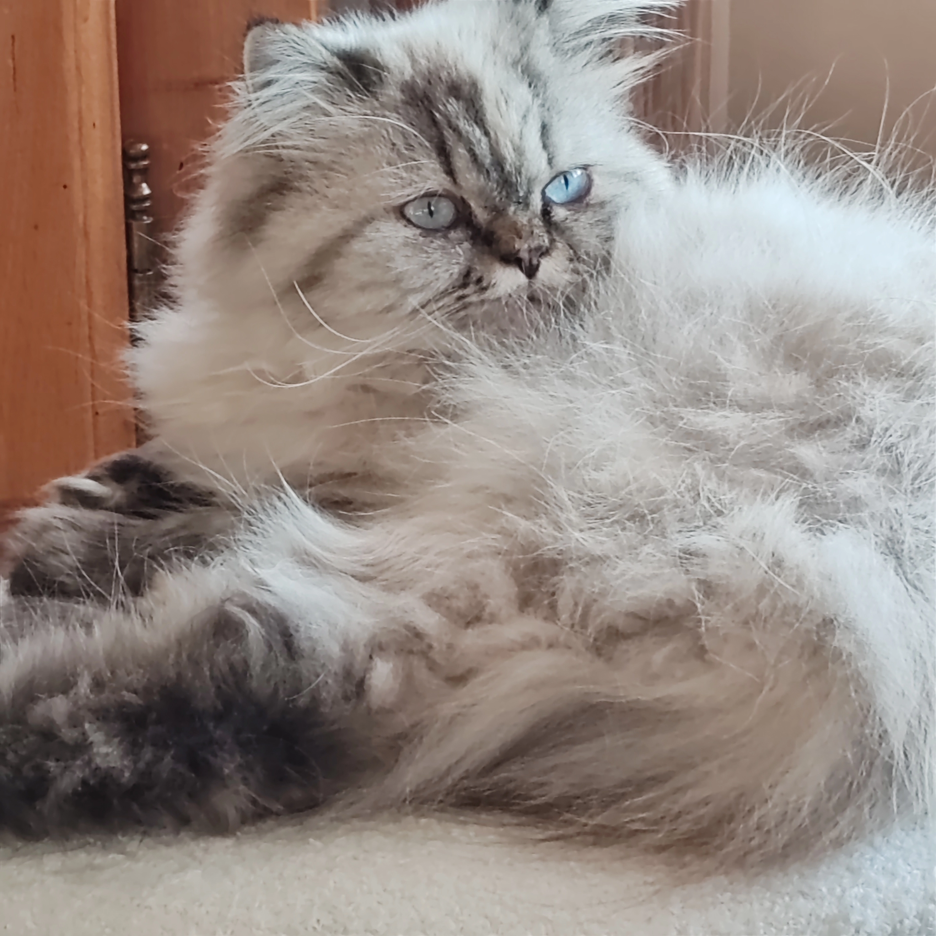 Uguette  - Lamalodie, Castelnau-Montratier-Sainte-Alauzie