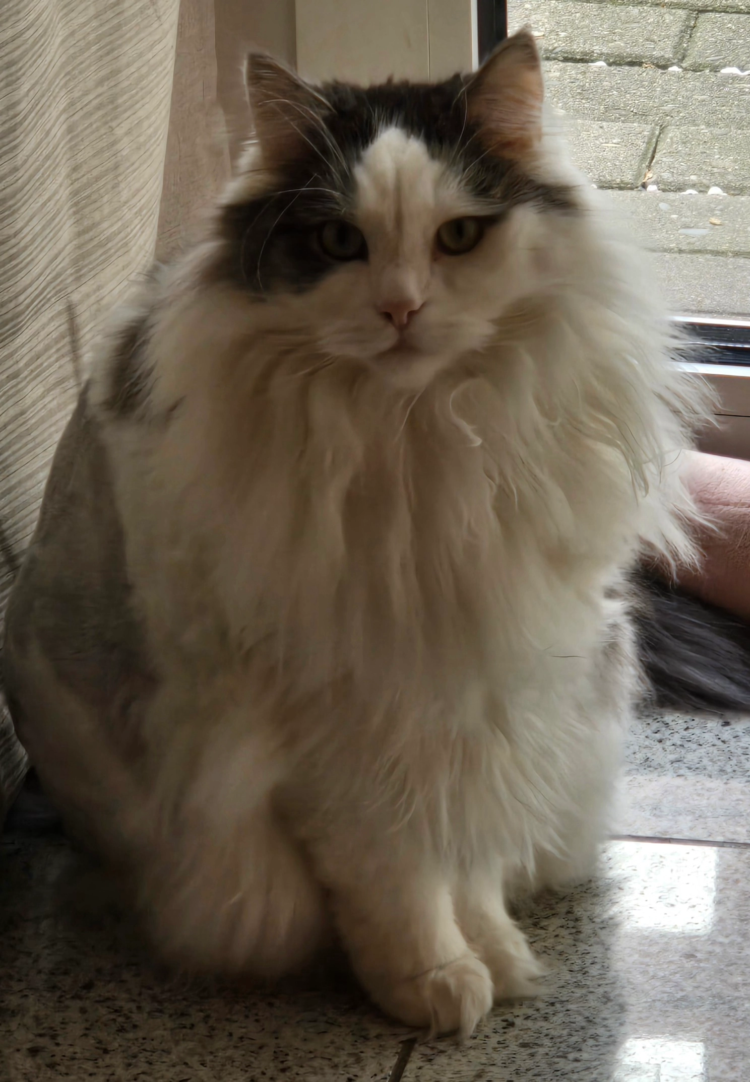 Thor - Glogauer Straße, Goslar