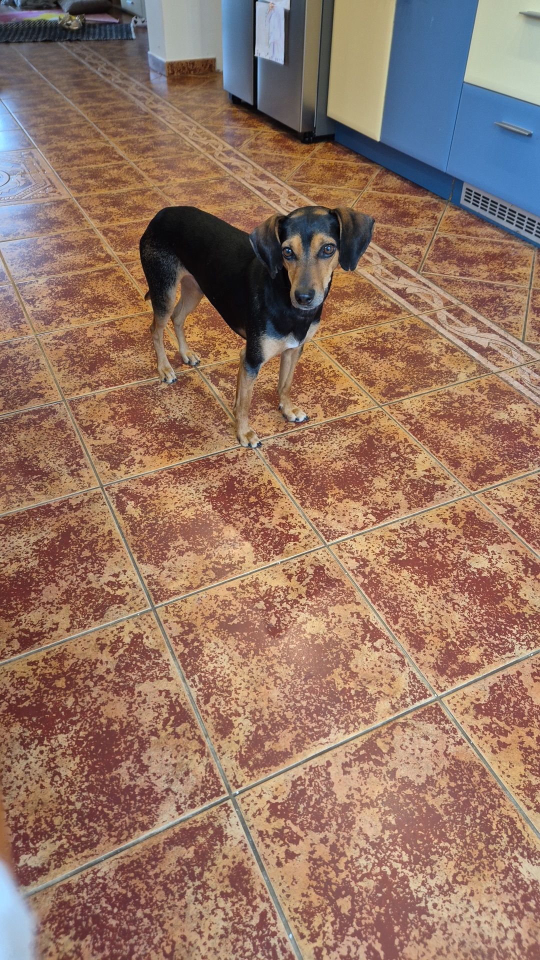 Kaiku  - Březová, Kunice