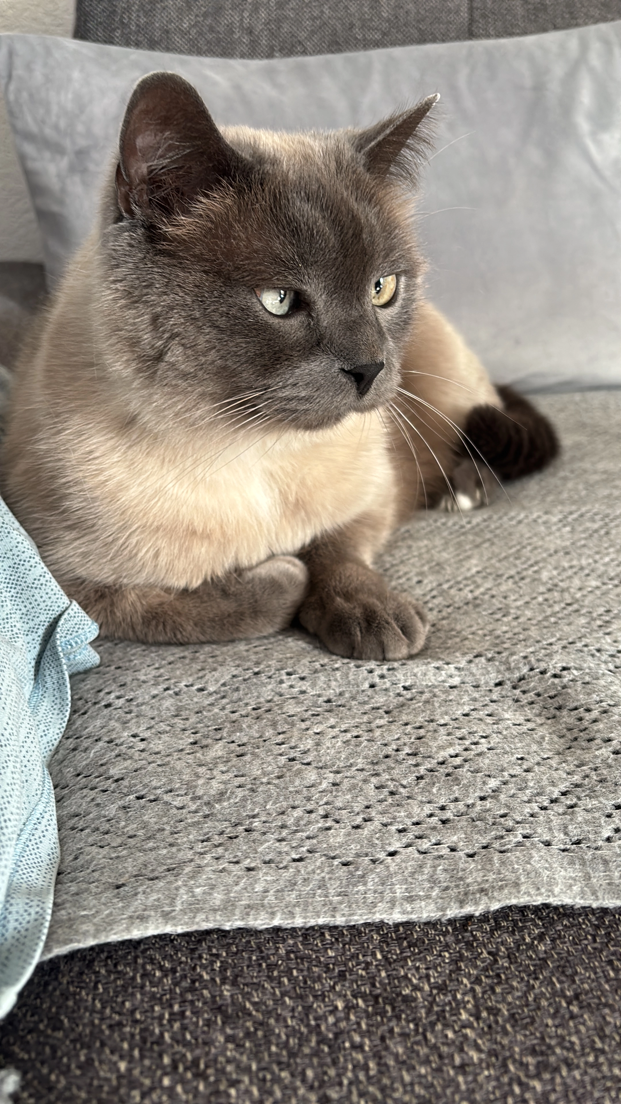 Serafim - Haidach/ Nähe Mix Markt , Pforzheim