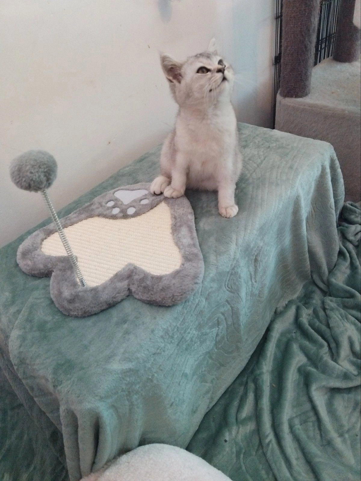 Mattie - Van der Poest Clementstraat, Etten-Leur