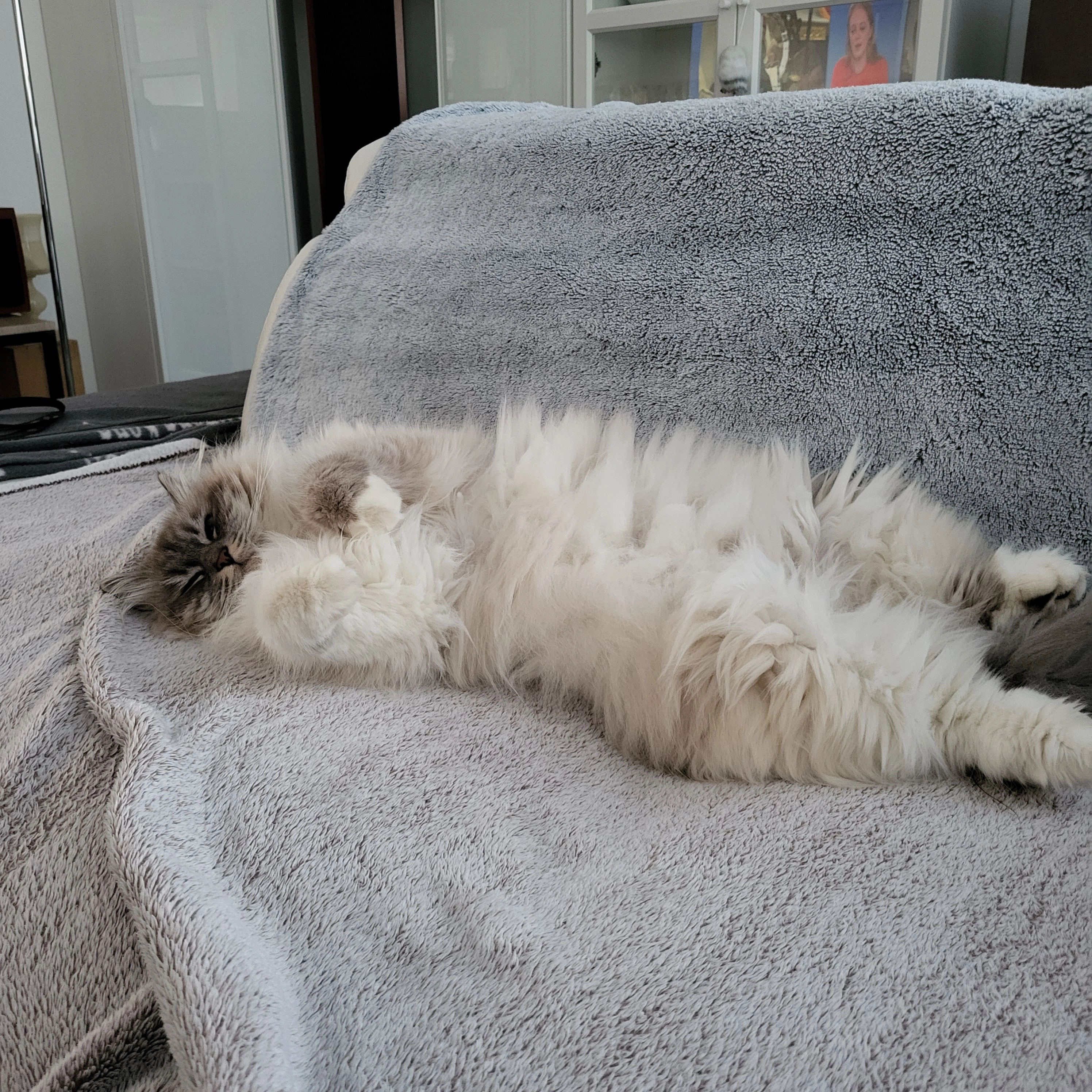 princesse  - Esperiere, Saint-Maximin-la-Sainte-Baume