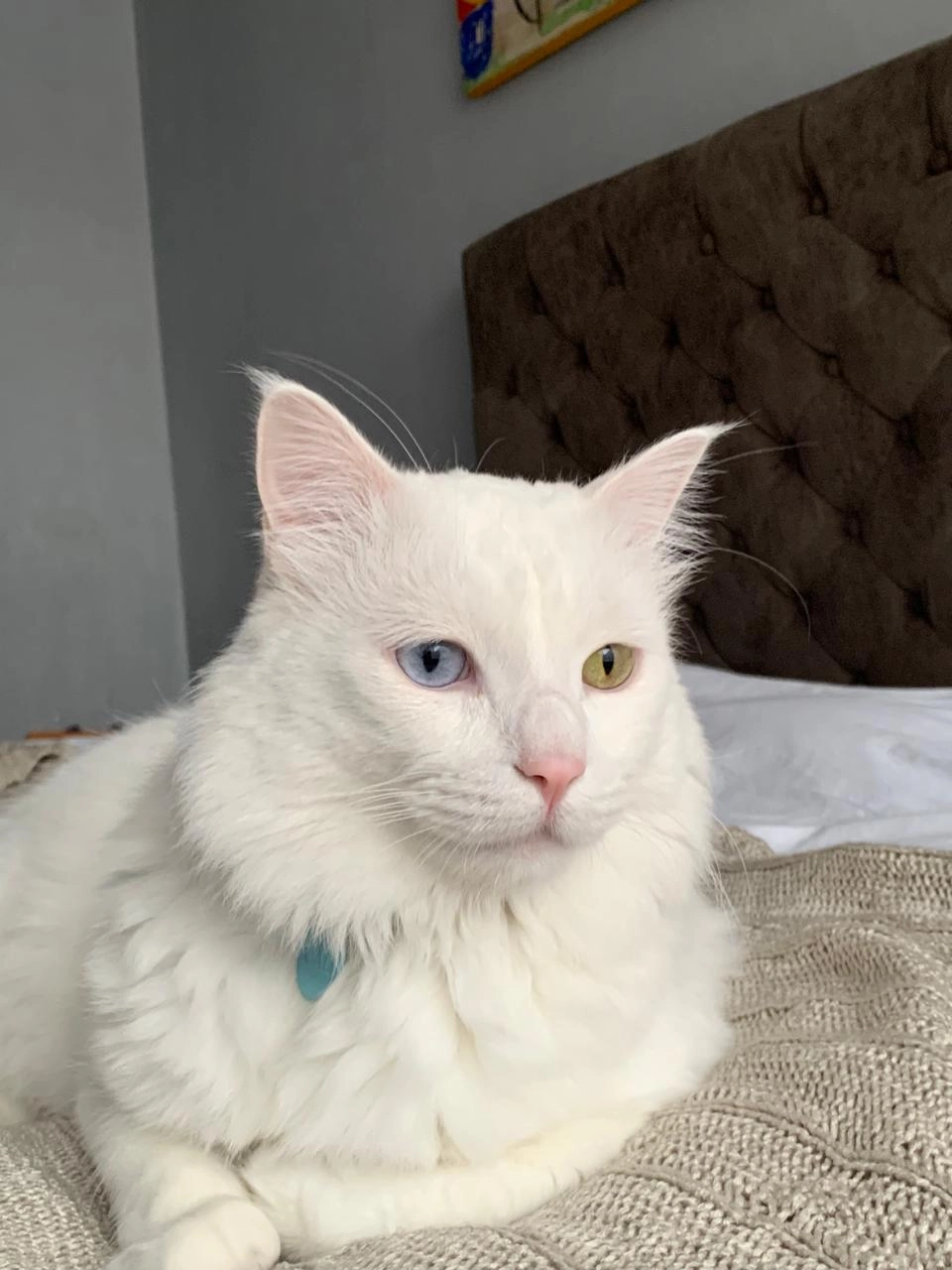 Cali  - Rue du Val de Metz, Vaux