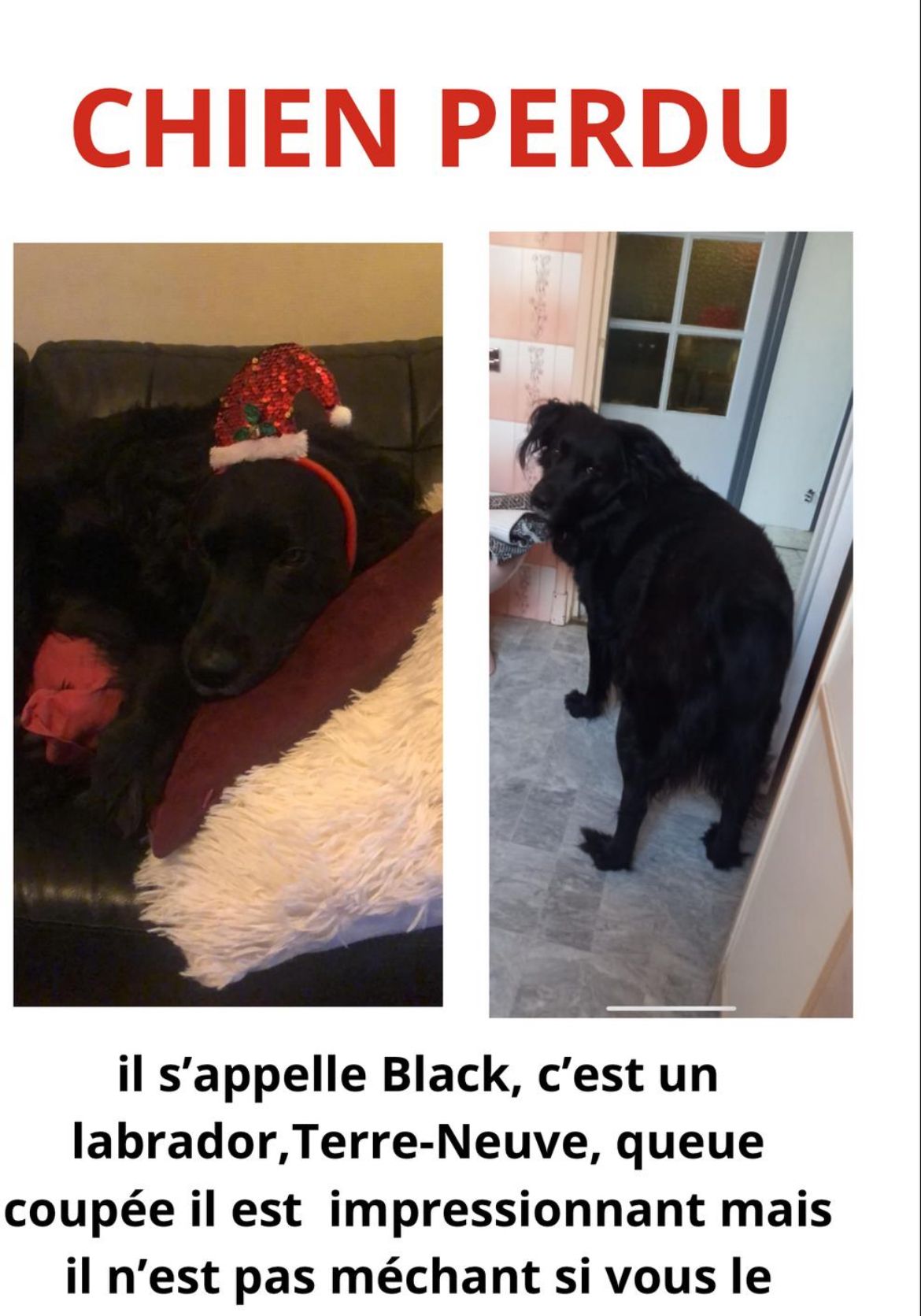 Black - 3 Impasse de Douaumont, Conflans-Sainte-Honorine