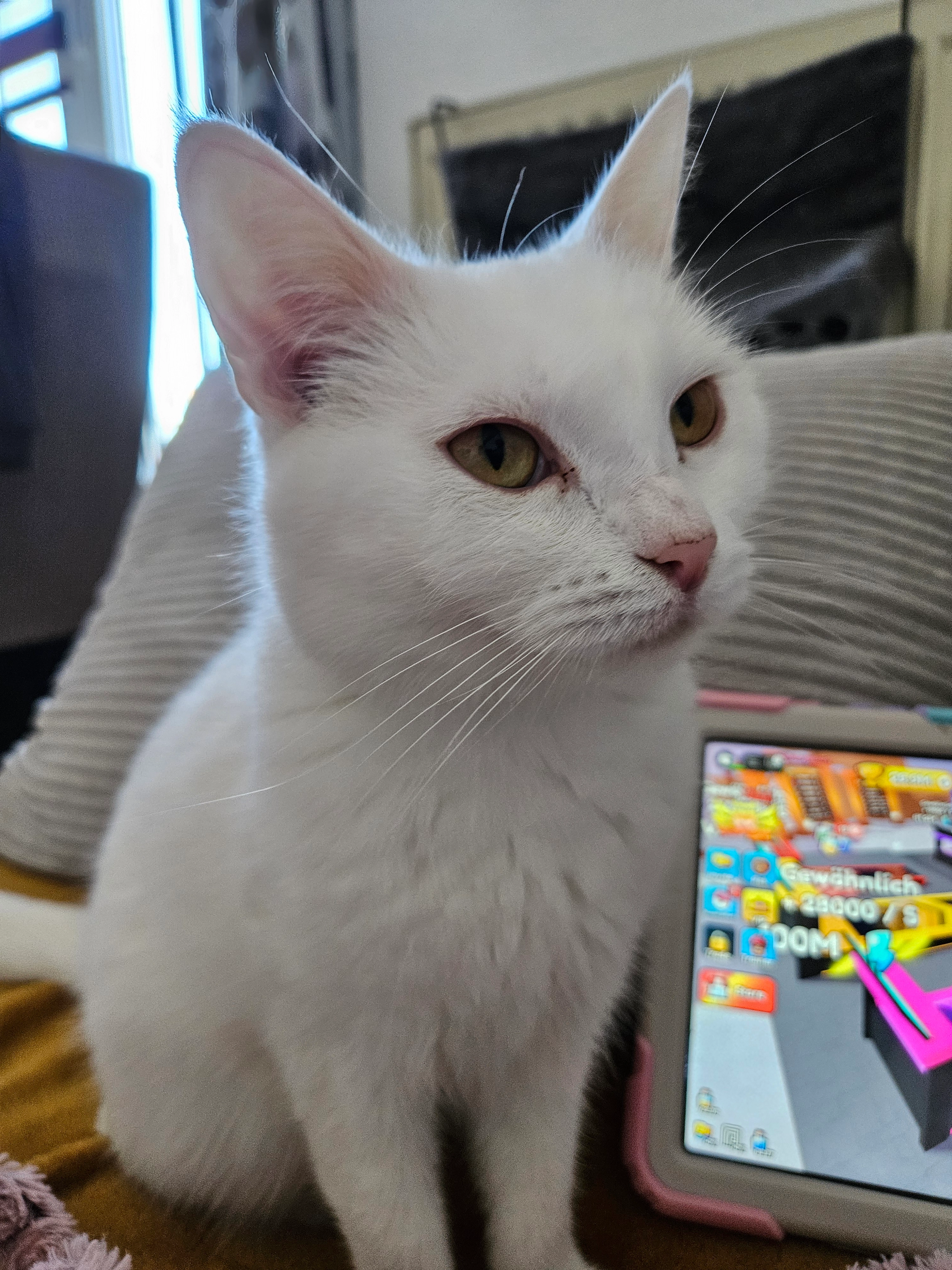 Lillith - Achterdeck, Lübeck