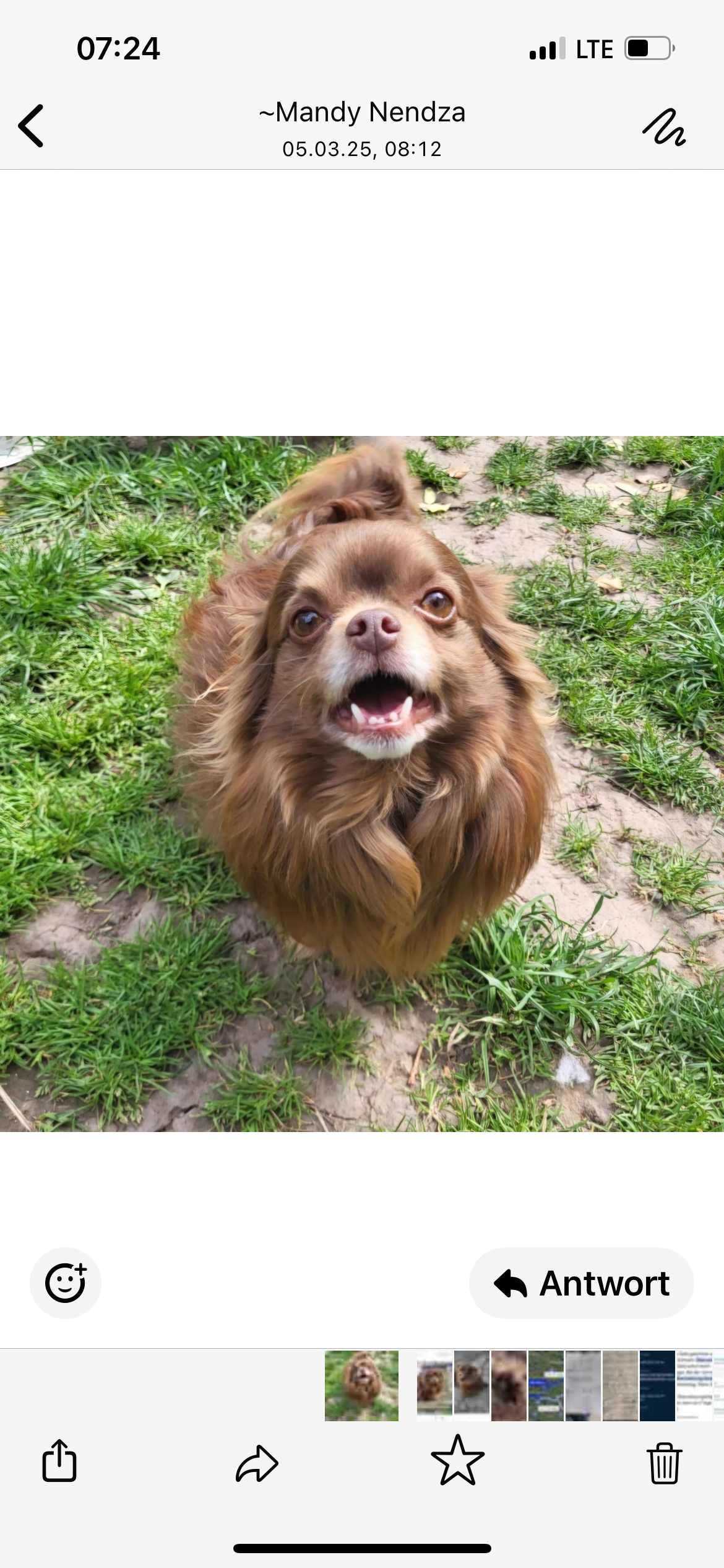 Brownie - Nathoer Dorfstraße, Dessau-Roßlau