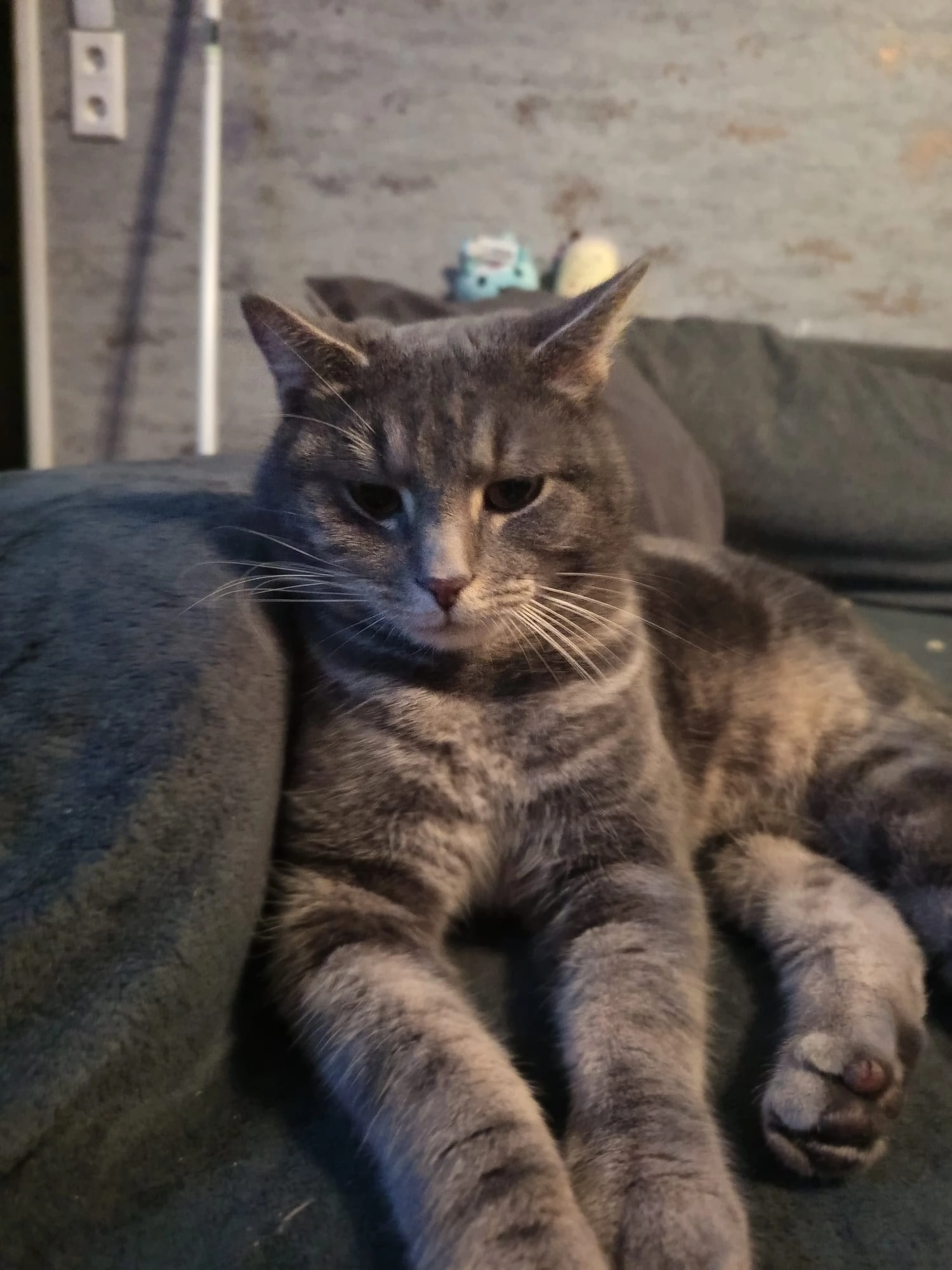 Eddy - Seeschwalbenstraße, Westoverledingen