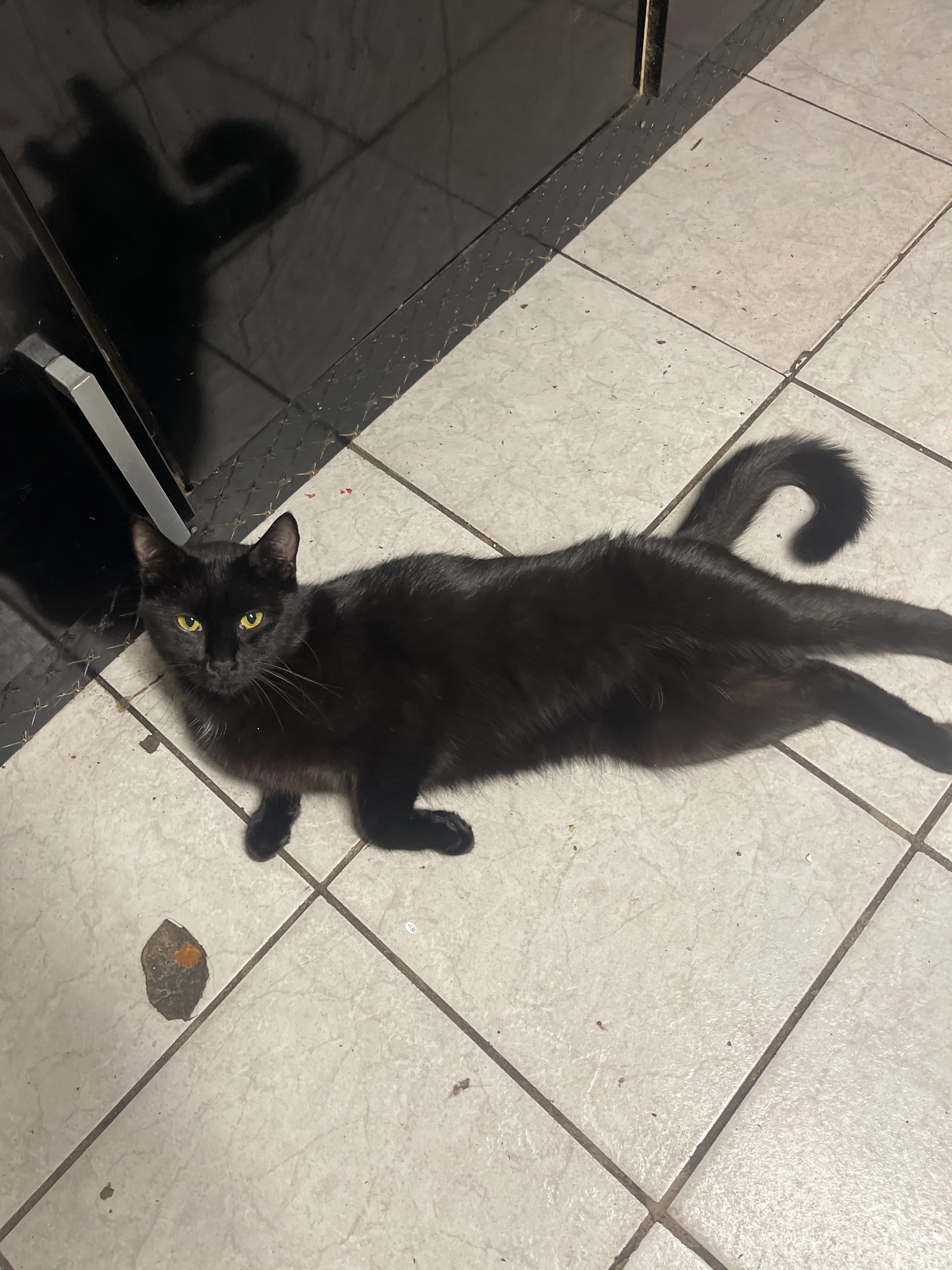 Negru - Hauptstraße, Berschweiler bei Baumholder