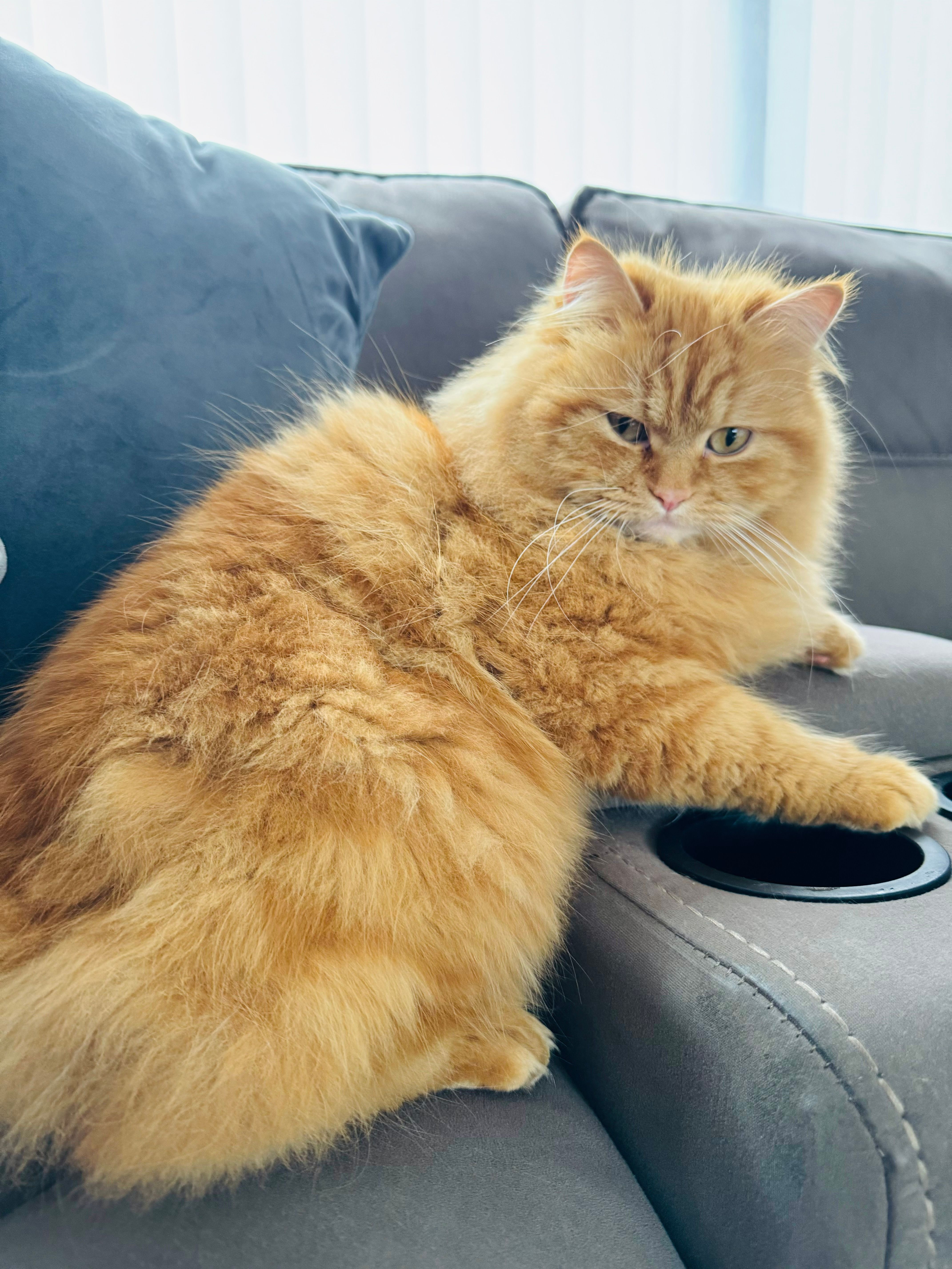 07760880243 - Tunstall Drive, Lowestoft