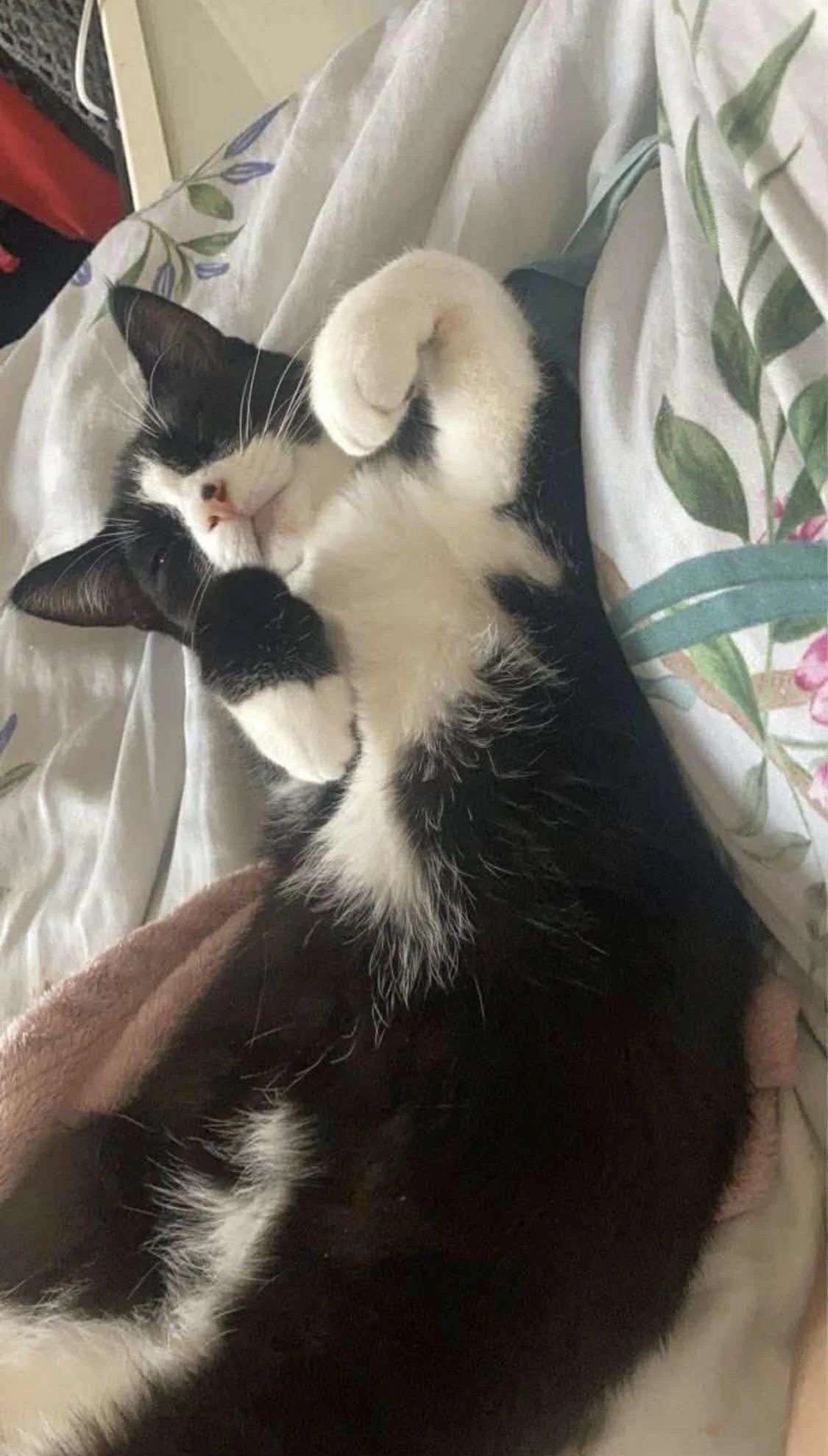 Raven - Kendal Way, Cambridge