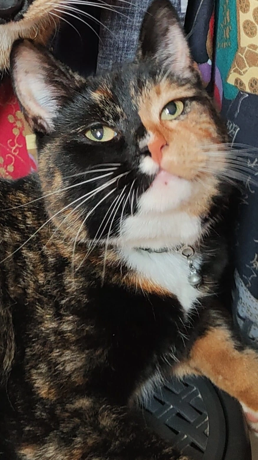 Minous - Mari Andriessenhof, Hoorn