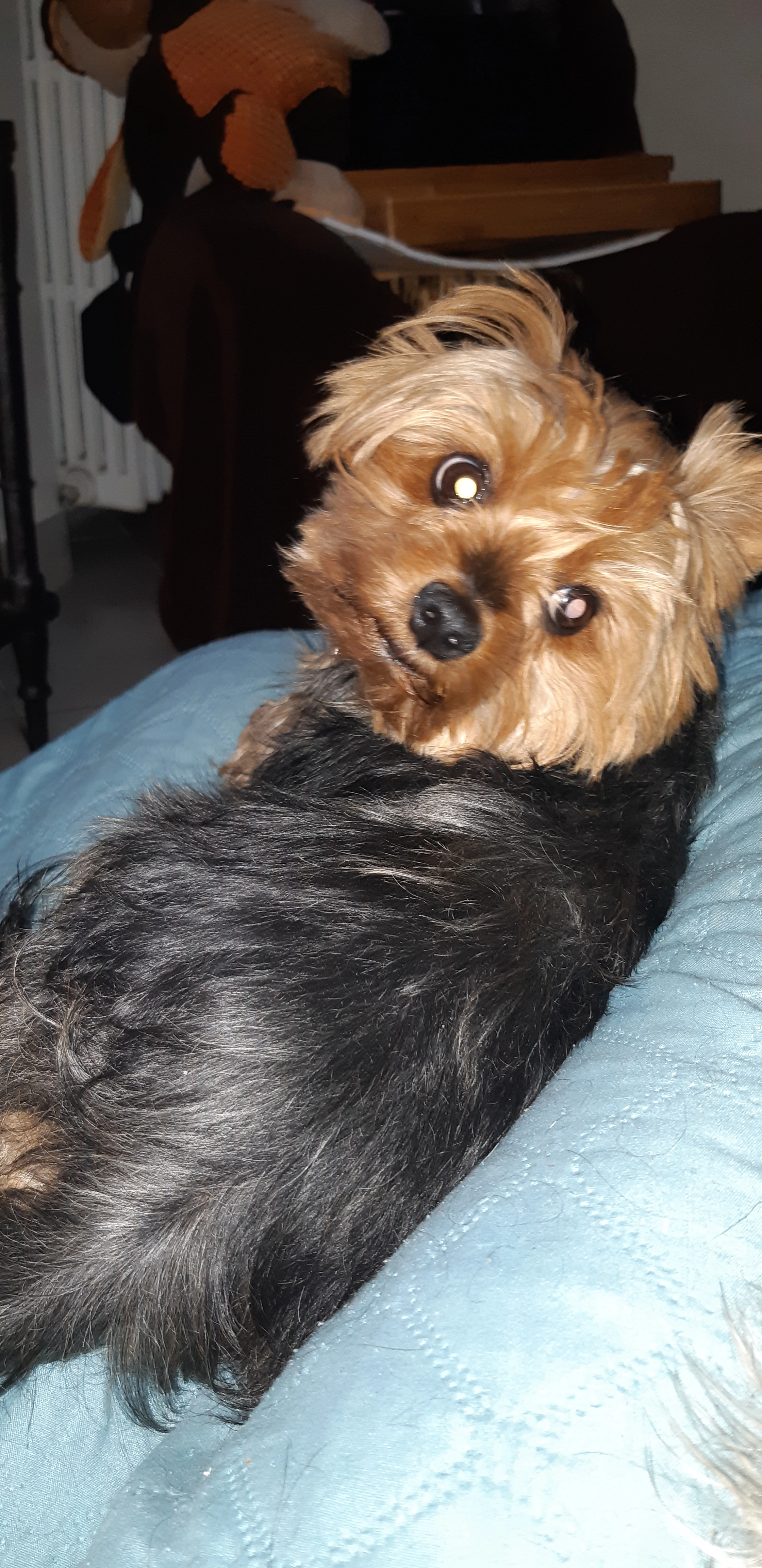 Mia - 8 Avenue de Verdun, Decize