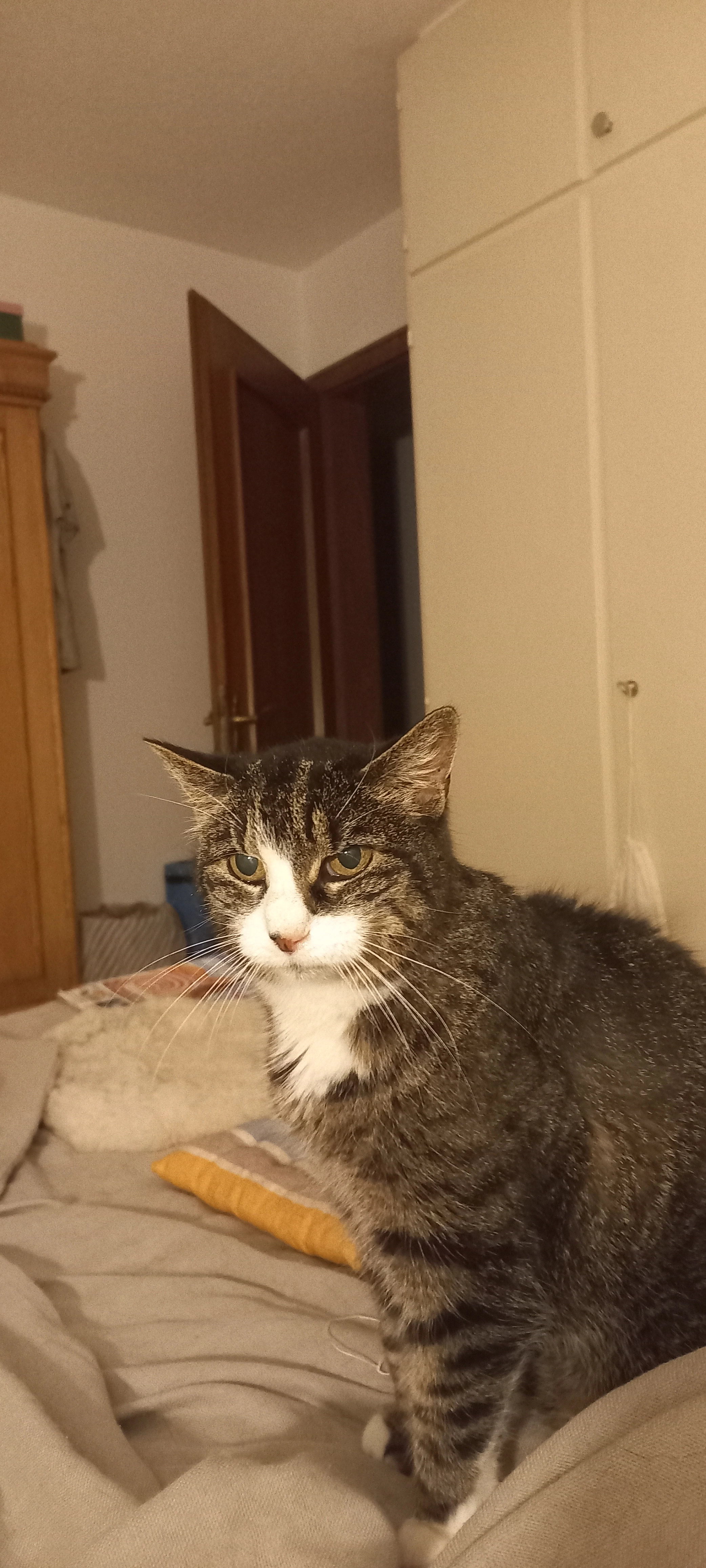 Pinseli  - Stickiweg, Fahrwangen