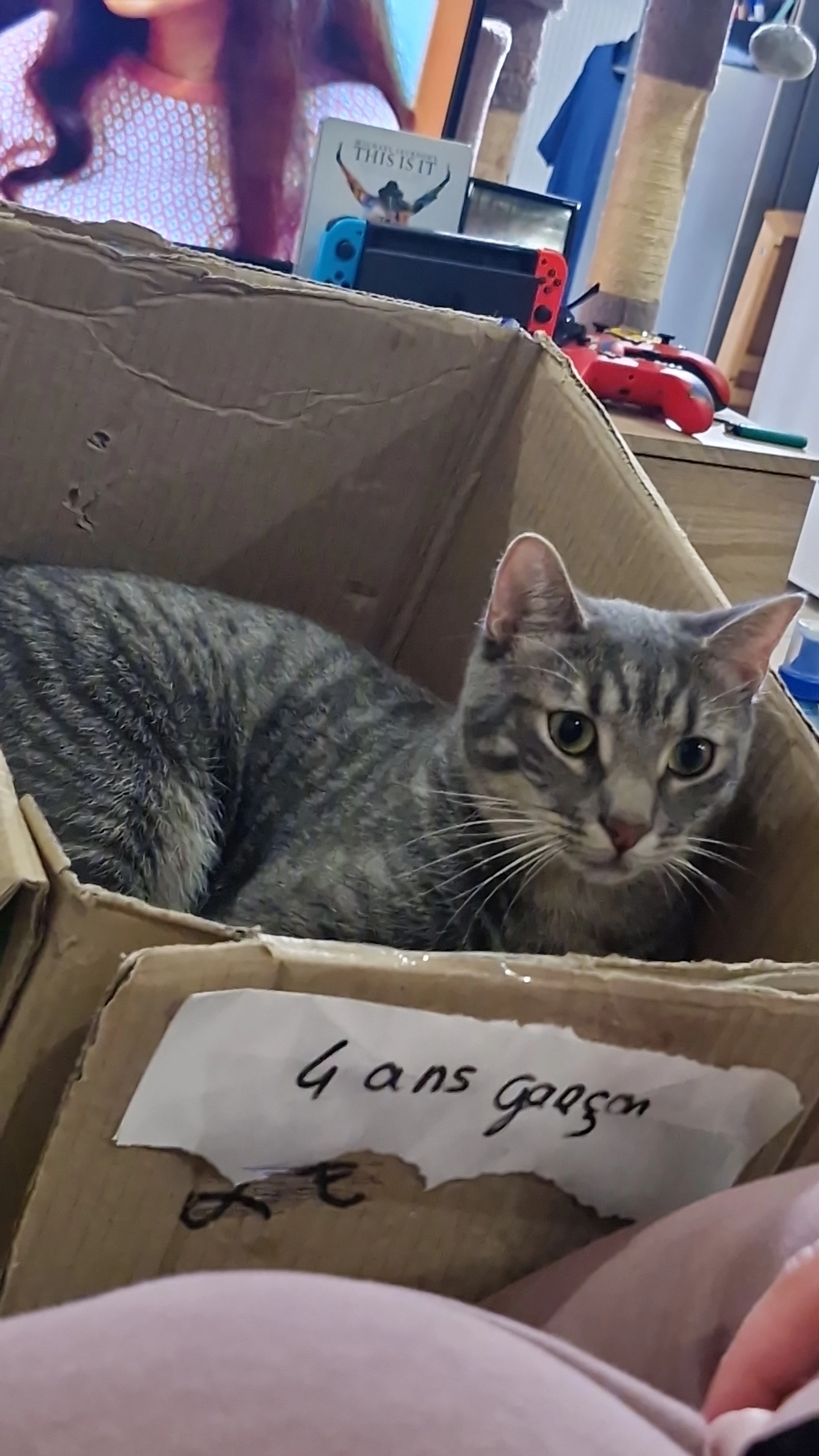 Ares - Rue Michelet, Saint-Quentin