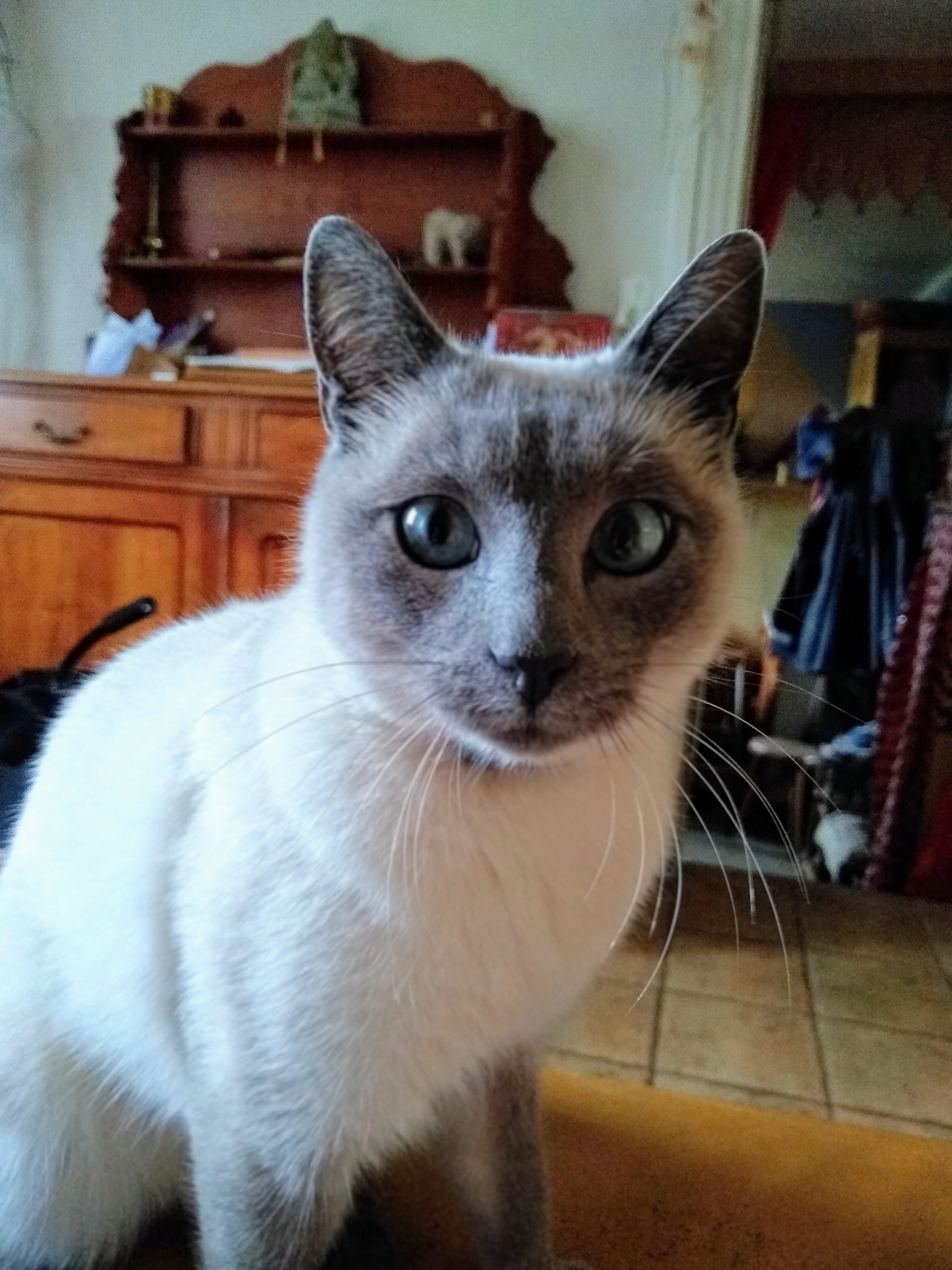 Otis  - 50810, Saint-Jean-d'Elle