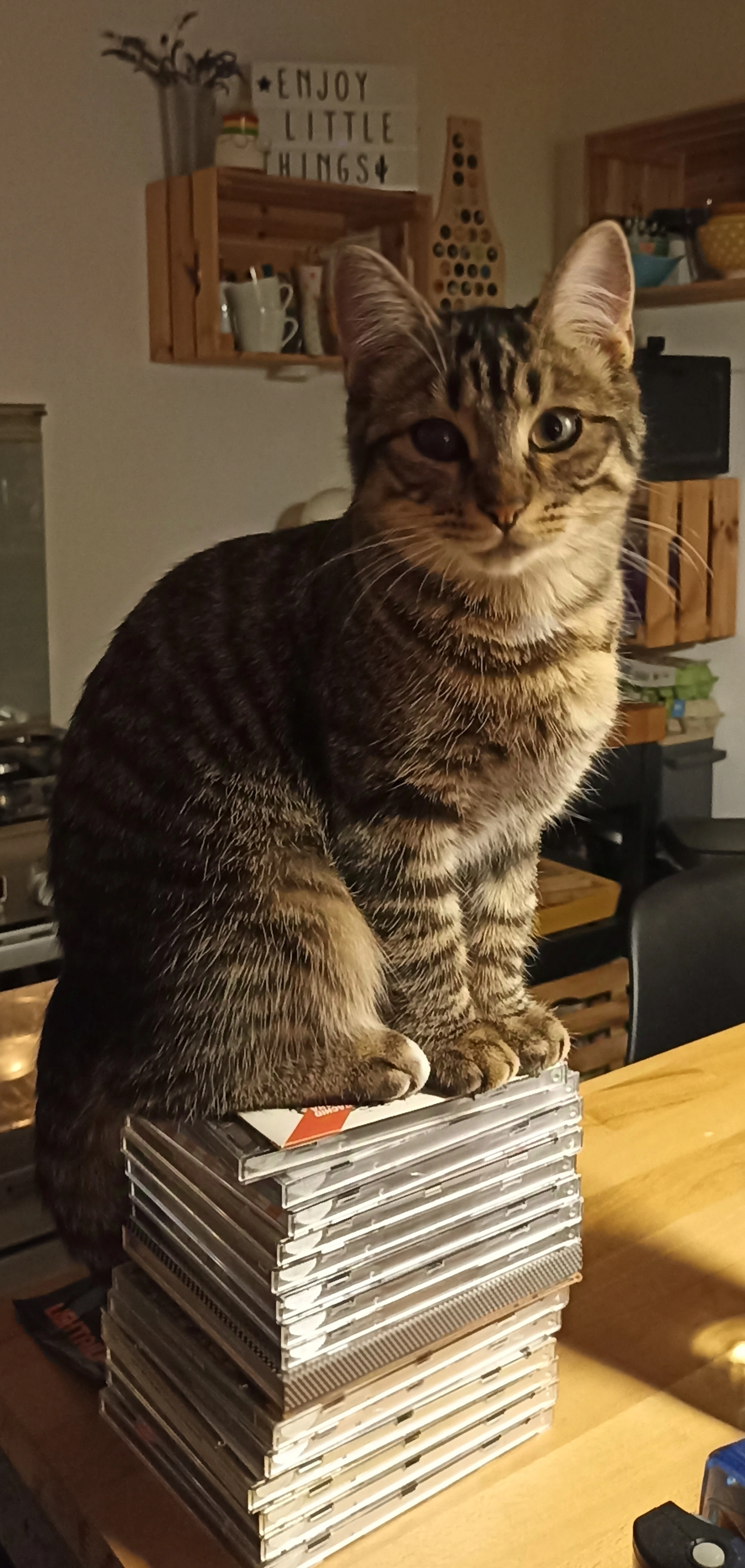 Yaya  - Rue Roz ar Vern, Plabennec