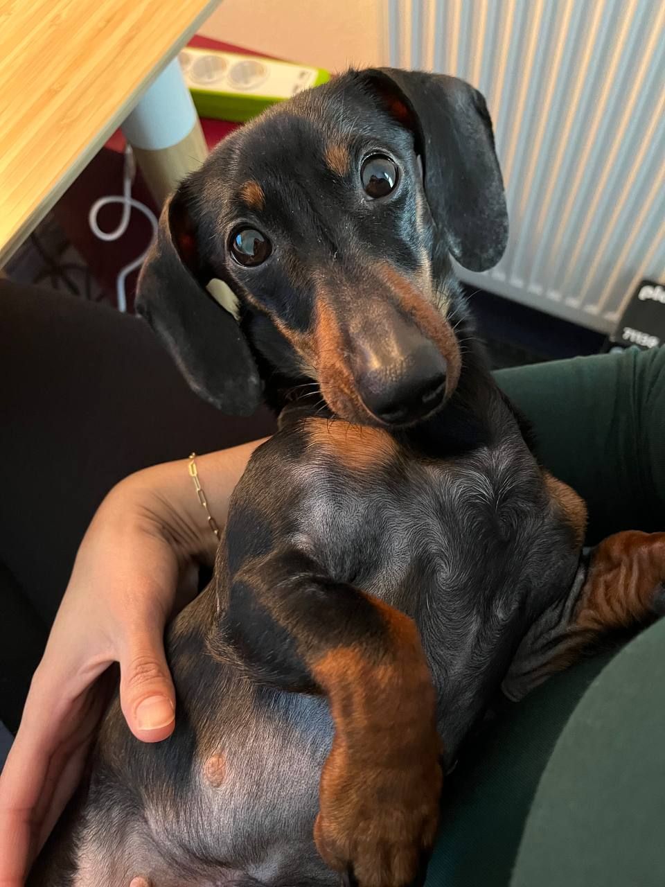 Yumi/Ayumi - Gosberger Straße, Nürnberg