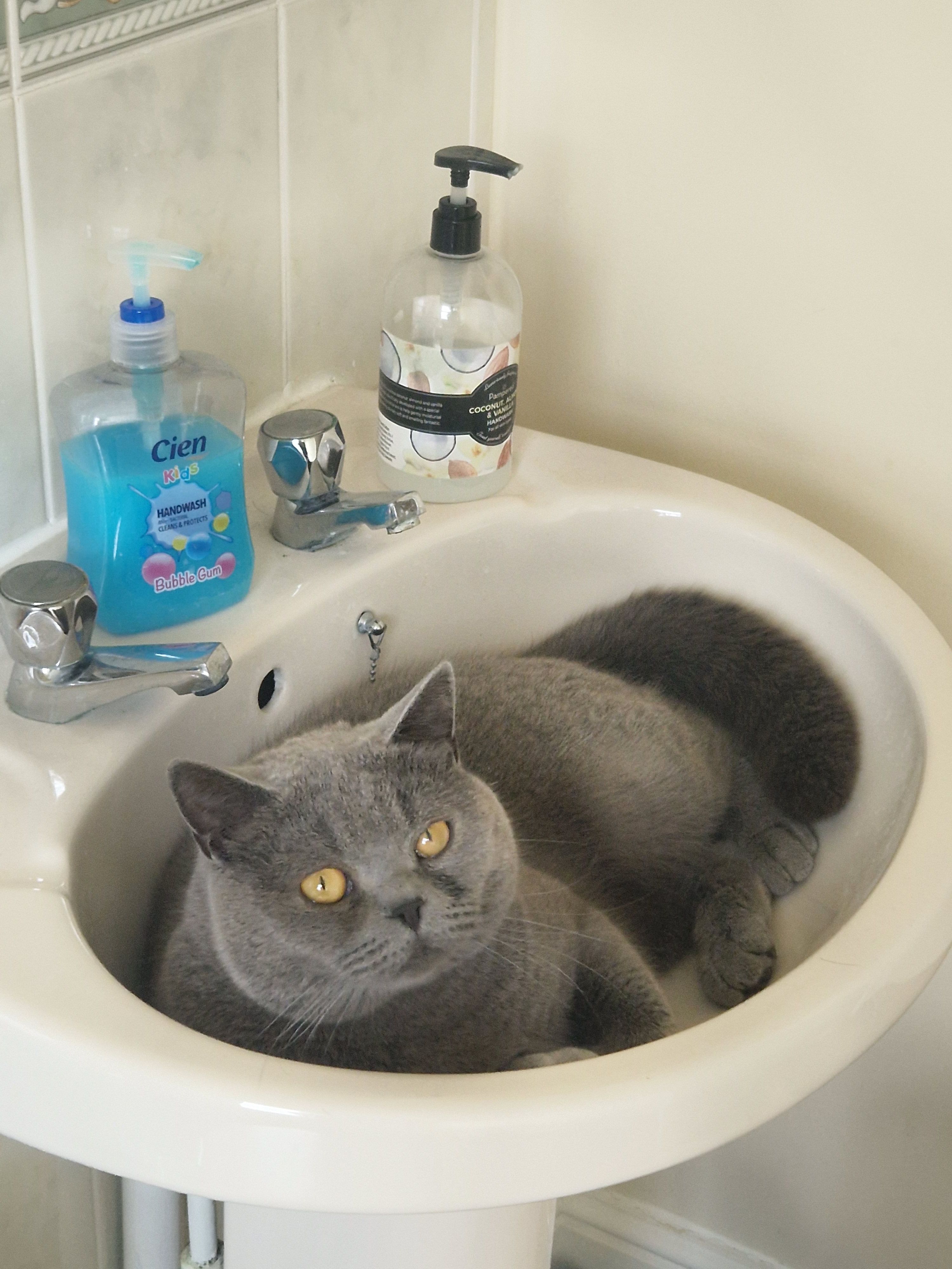 Felix  - CW1 4, Crewe