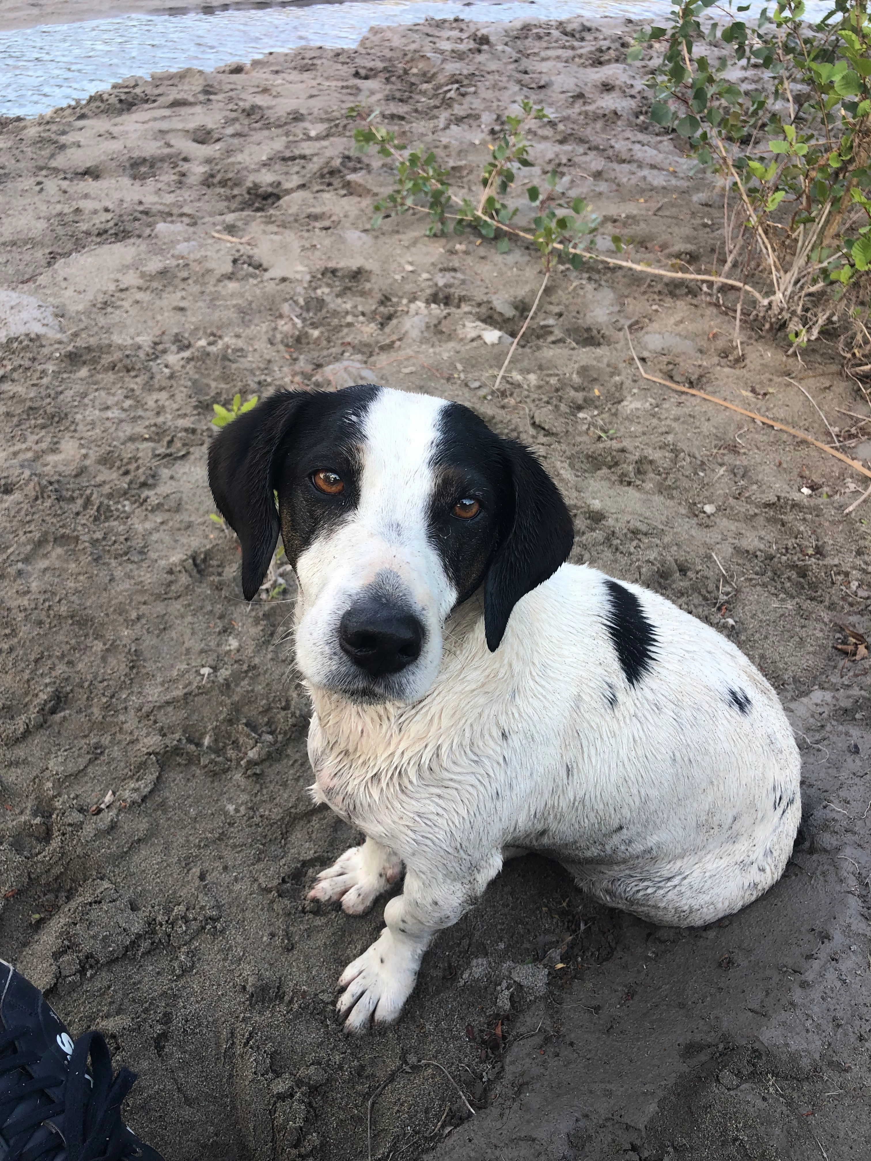 Eden - 2208 Chemin de l'Escours, La Colle-sur-Loup