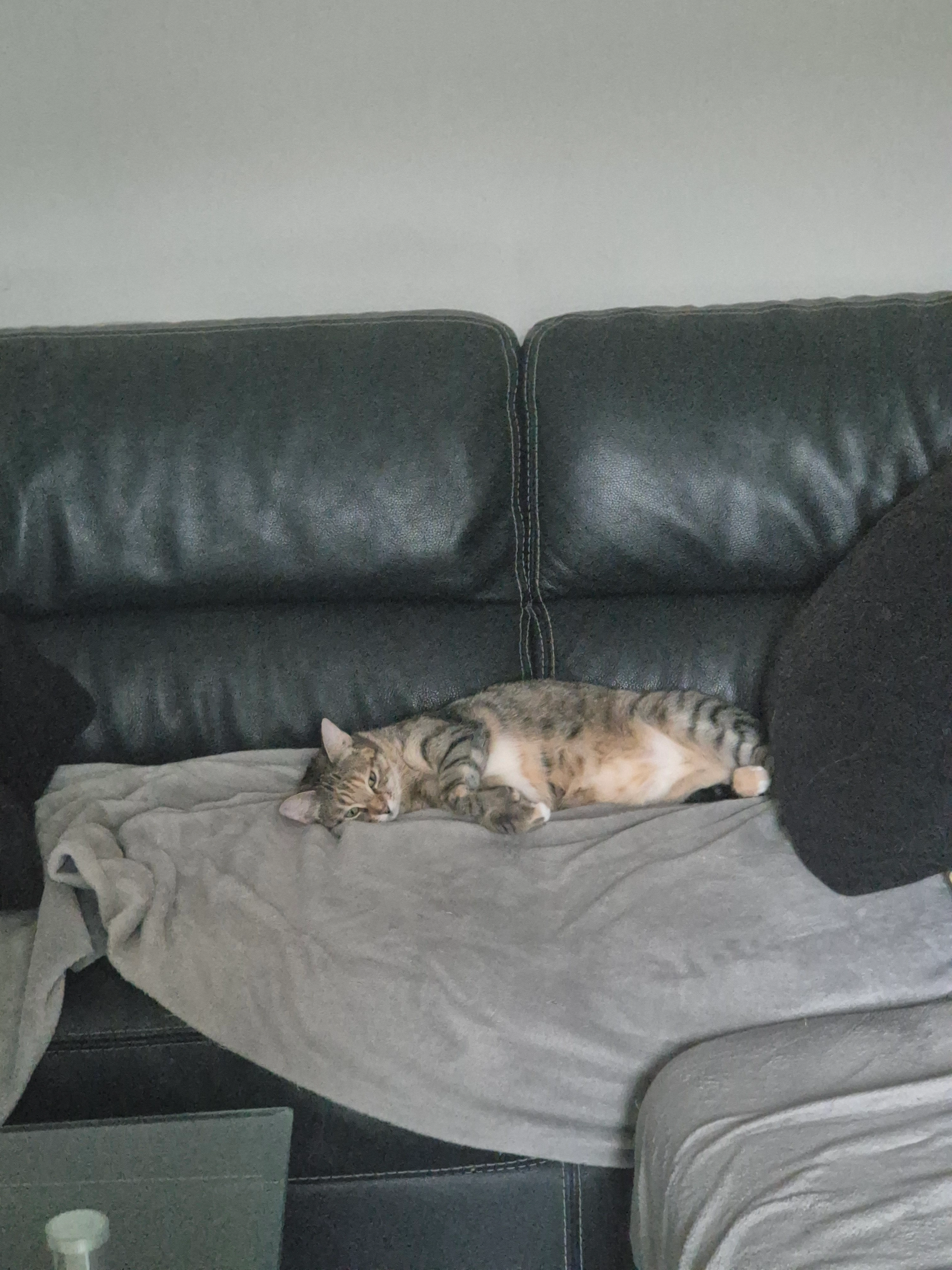 Princesse - 146 Rue de l'Église, Ouffières