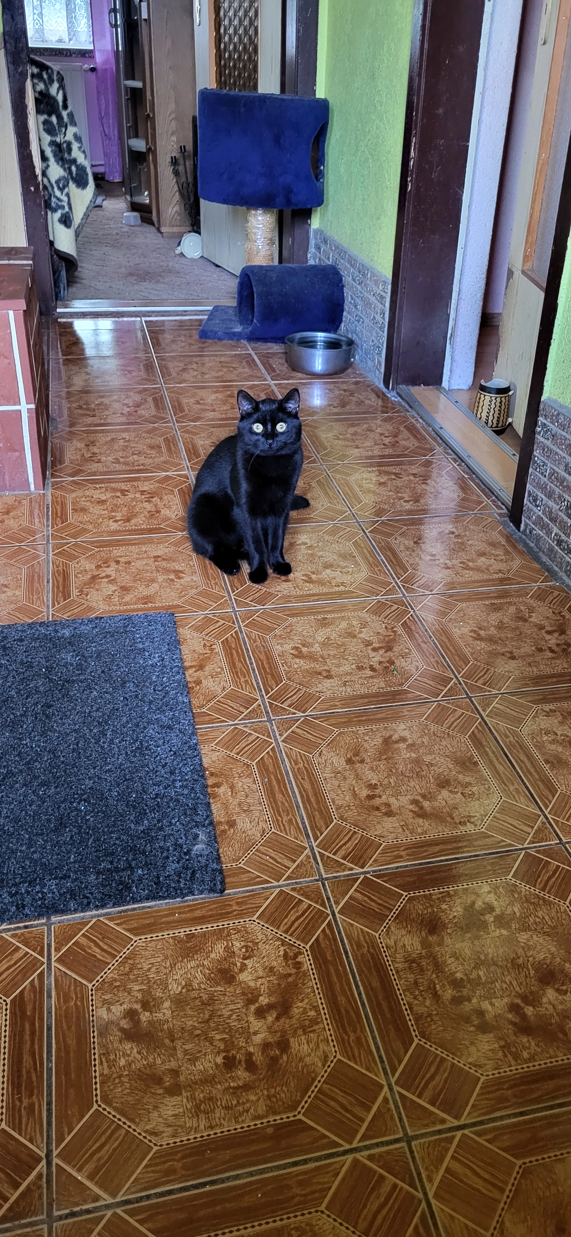 Leon  - Neudörfel, Löbau