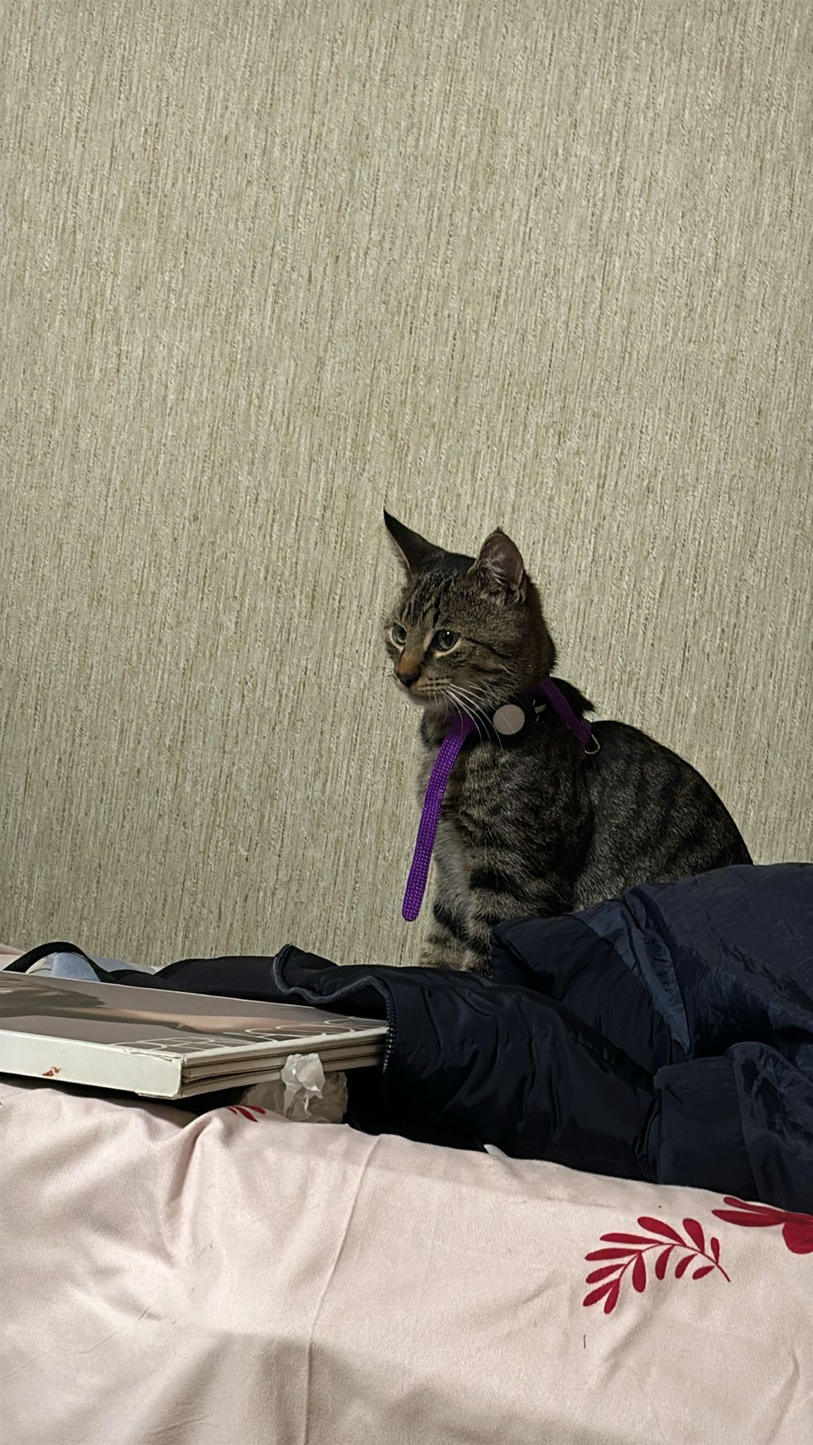 Jerry - Anton-Von-Wehner-Straße, Schillingsfürst