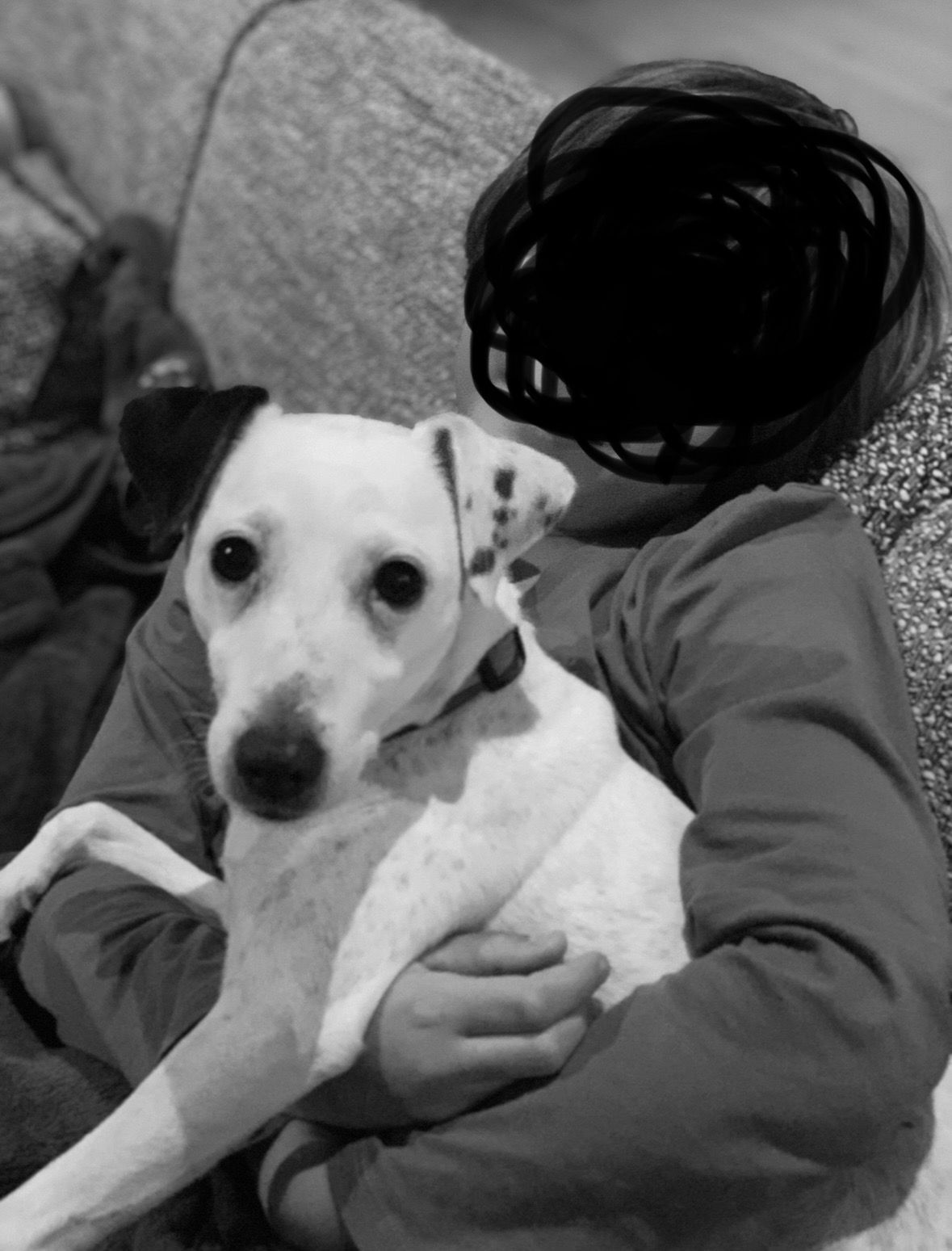 Enza - 26 Avenue des Mimosas, Tosse