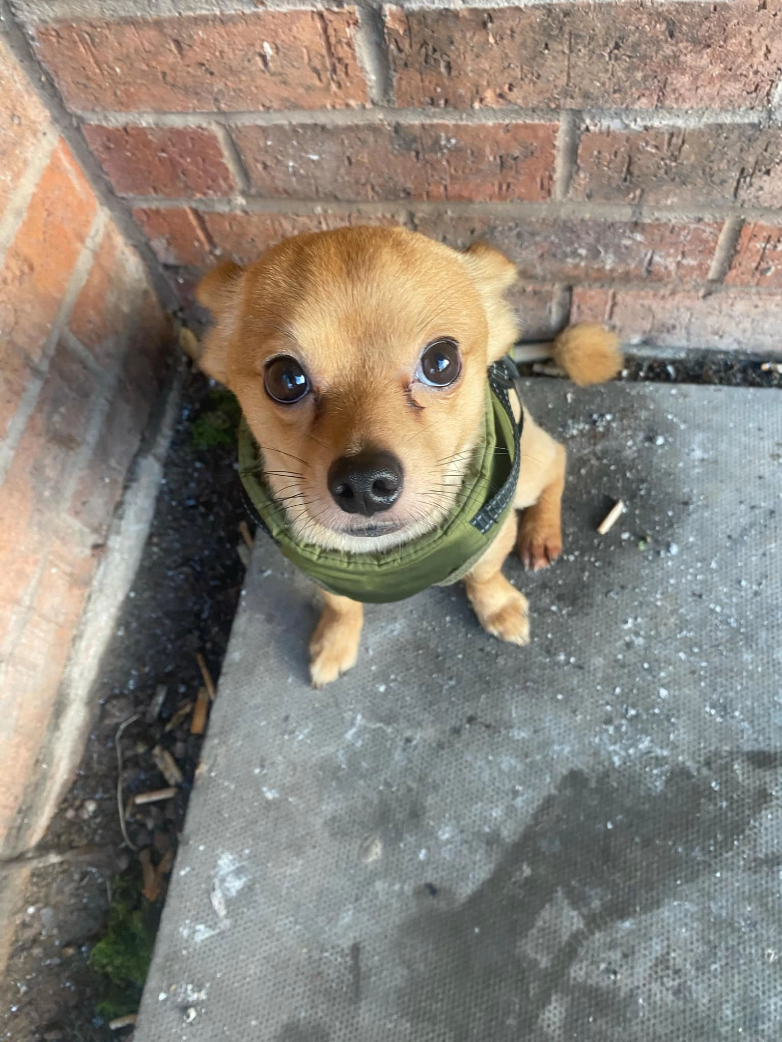 Chico - Island Road, Birmingham