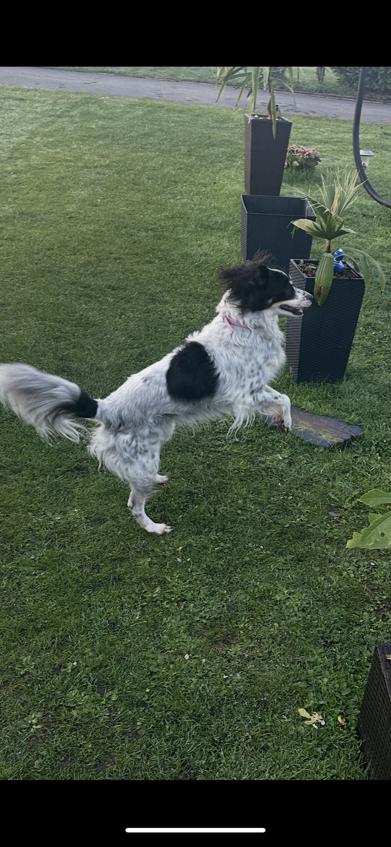 Emma - Kleiner Torfbruch, Düsseldorf