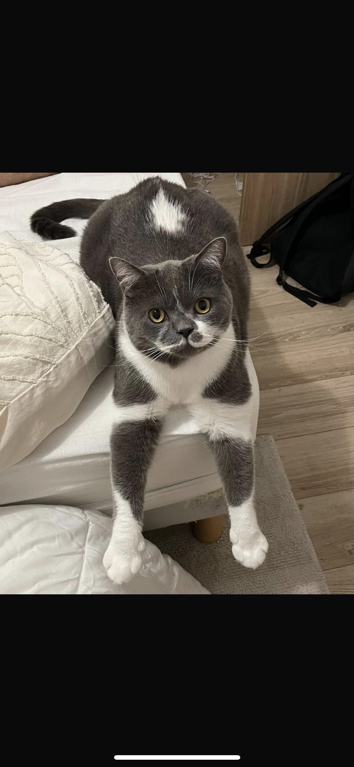 Gribouille - Rue d'Épiais, Osny