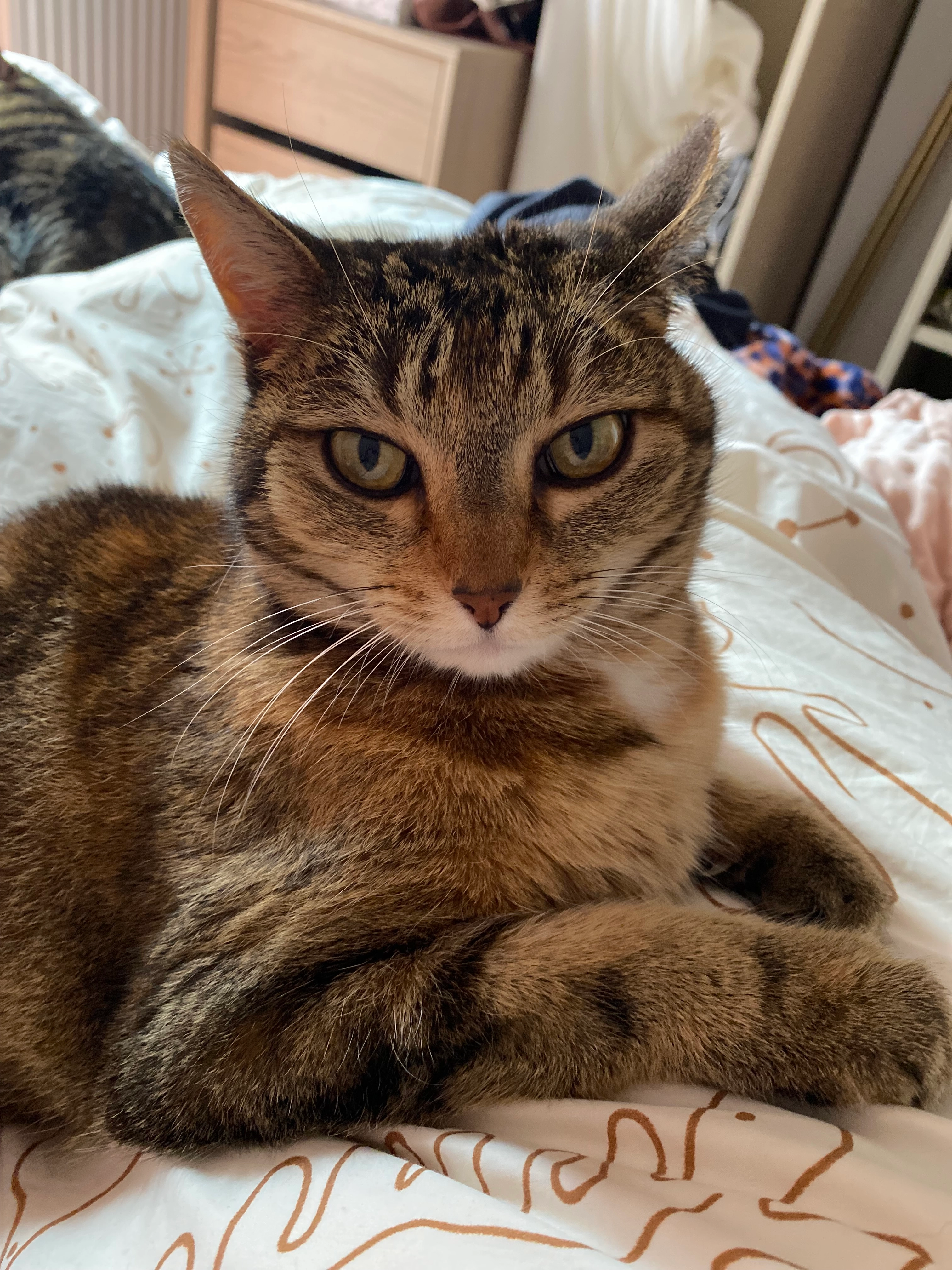 Noisette - Faubourg Bizienne, Guérande