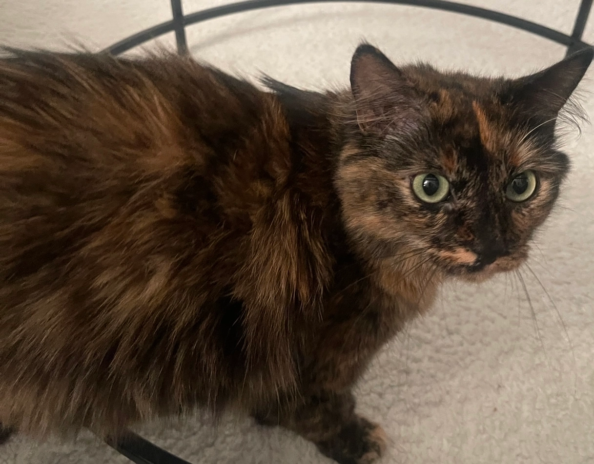 Minosh - 23 Impasse Pierre Louvet, Villefranche-sur-Saône