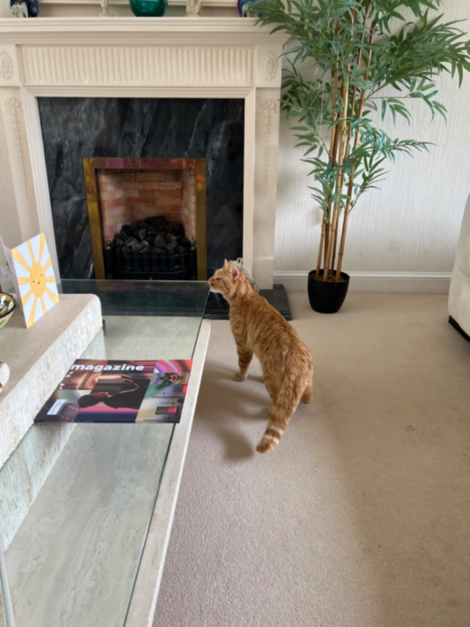 Thanos - Seabank Road, Nairn