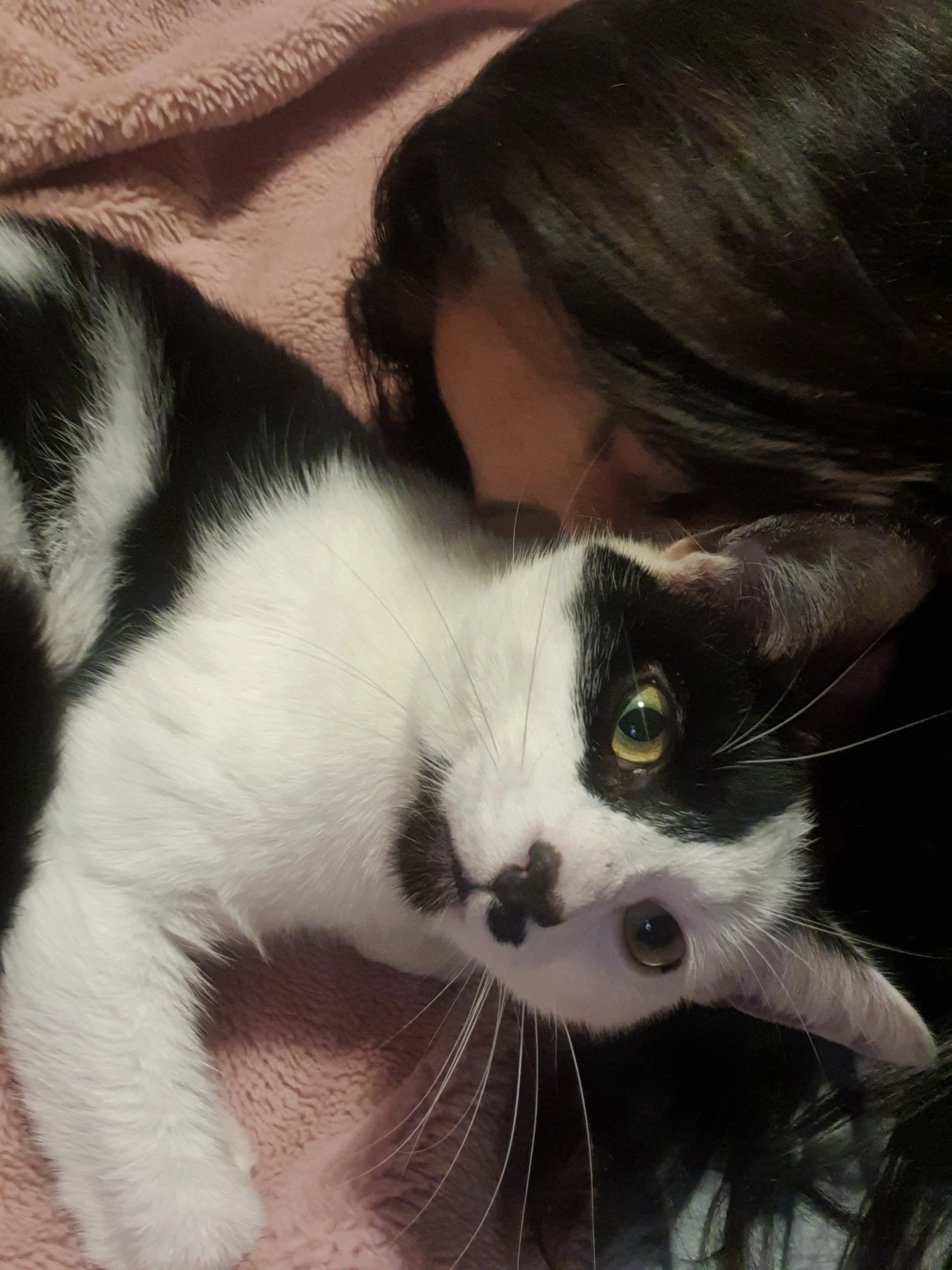 Spuddy - Elm Grove, Derby