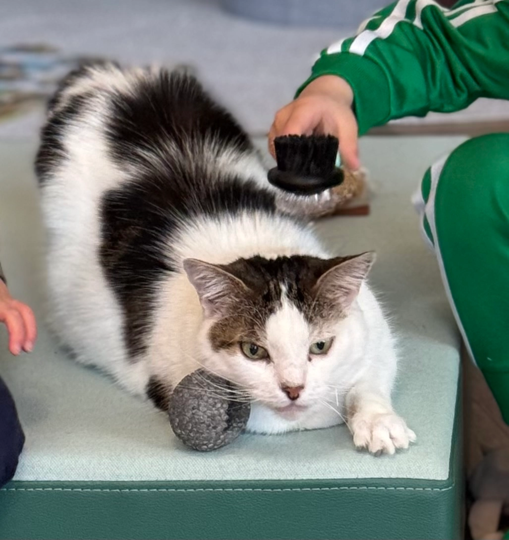 Kitty - Am Kreuzweiher, Stegaurach