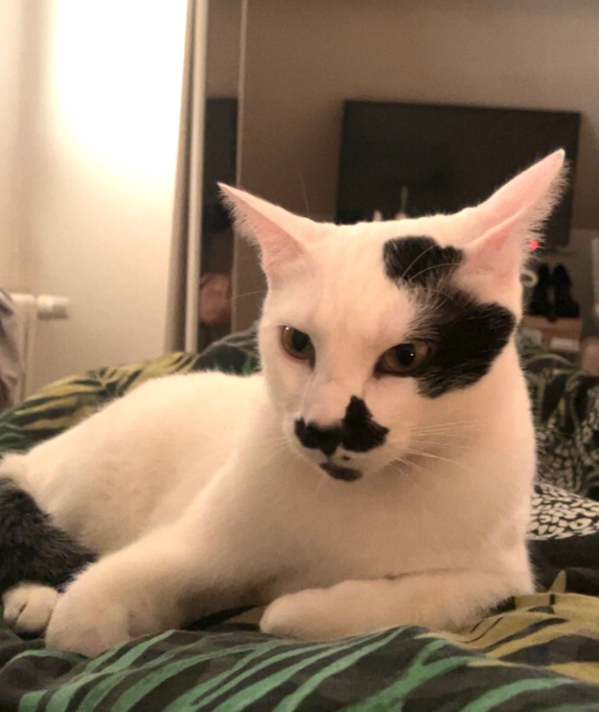 Plume - 6 Rue du Stade, Nommay