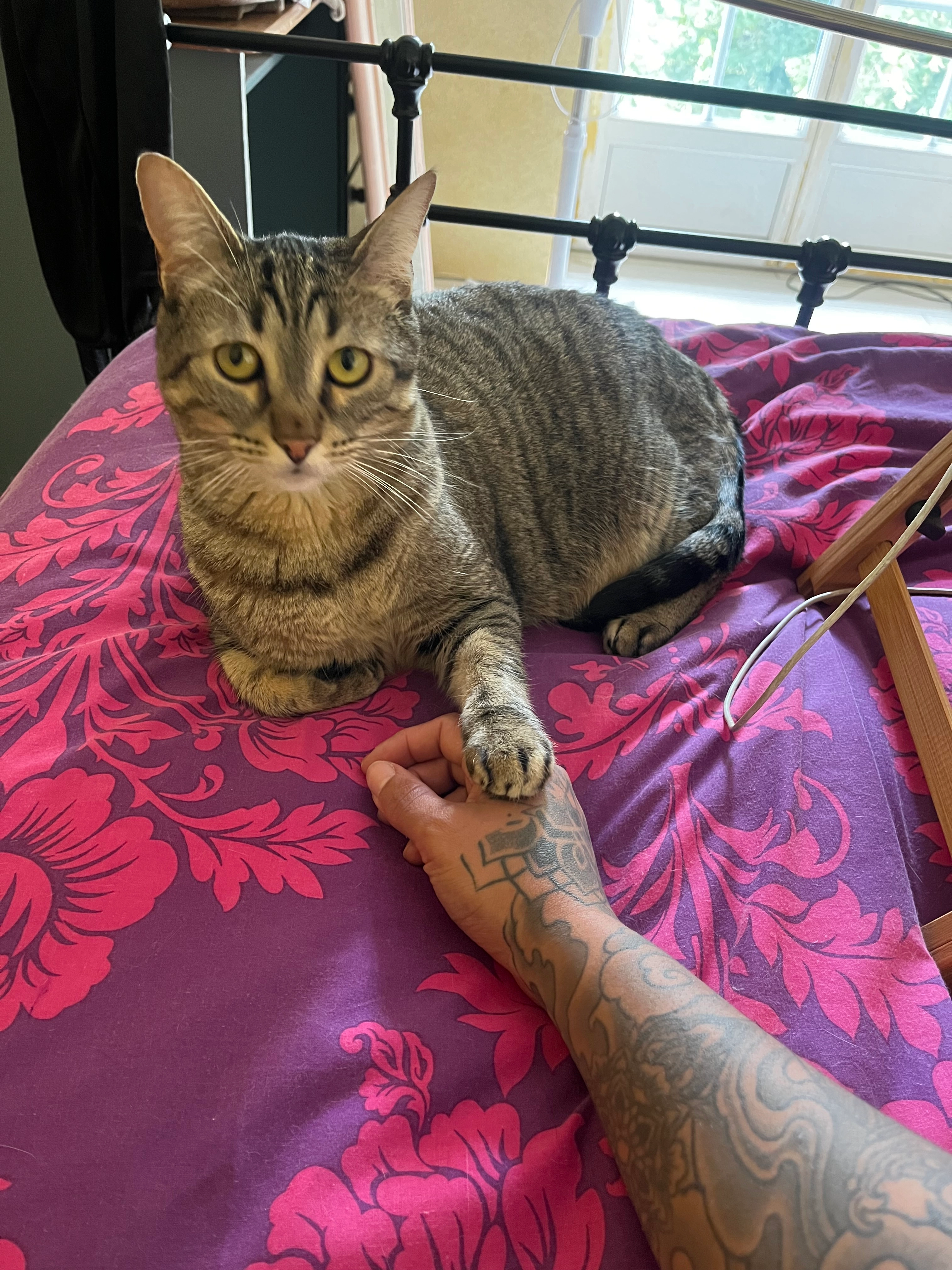 Pepper - 503 Route de Croix Charmette, Jas