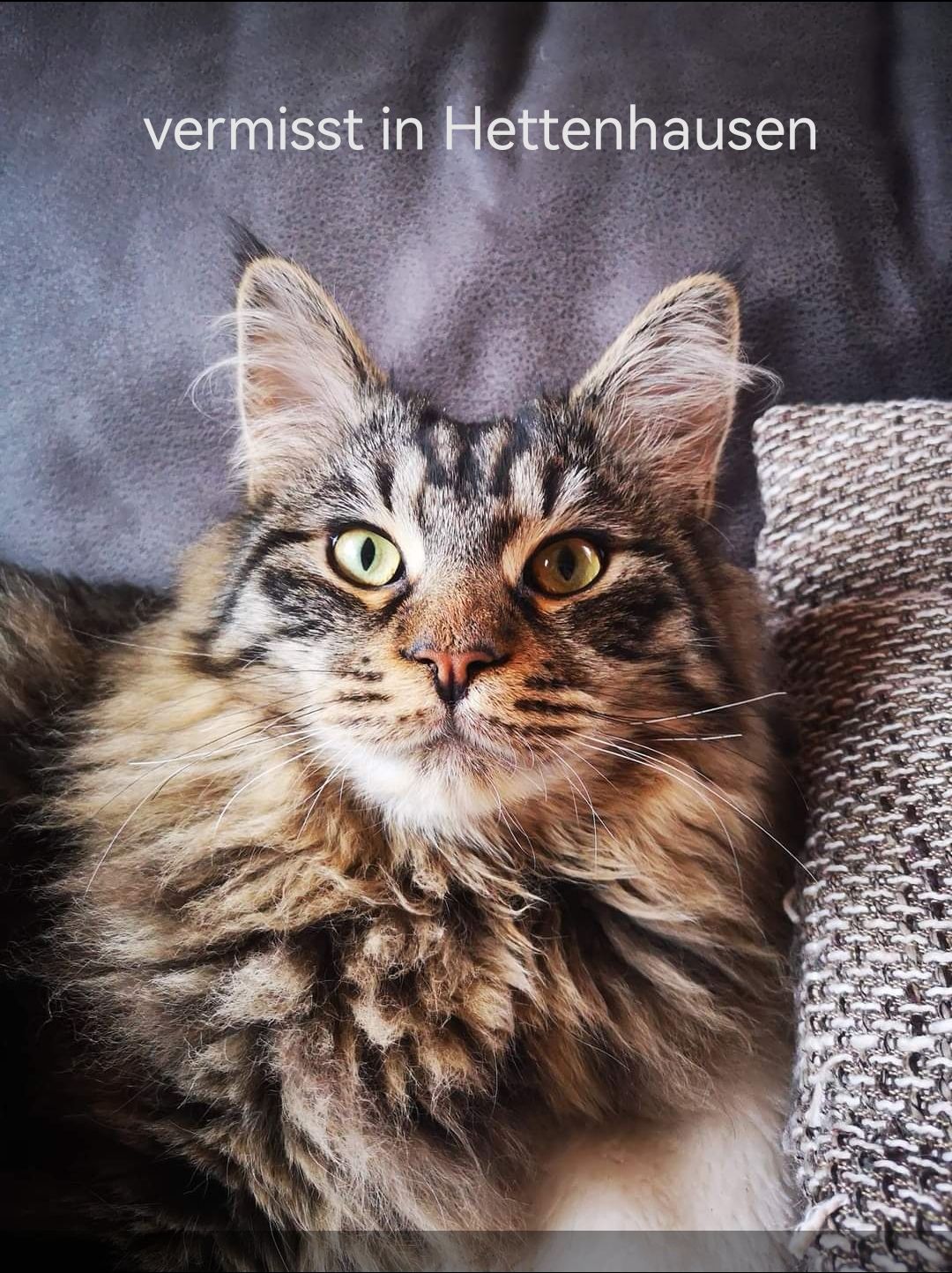 Kalli - Weyherser Weg, Gersfeld