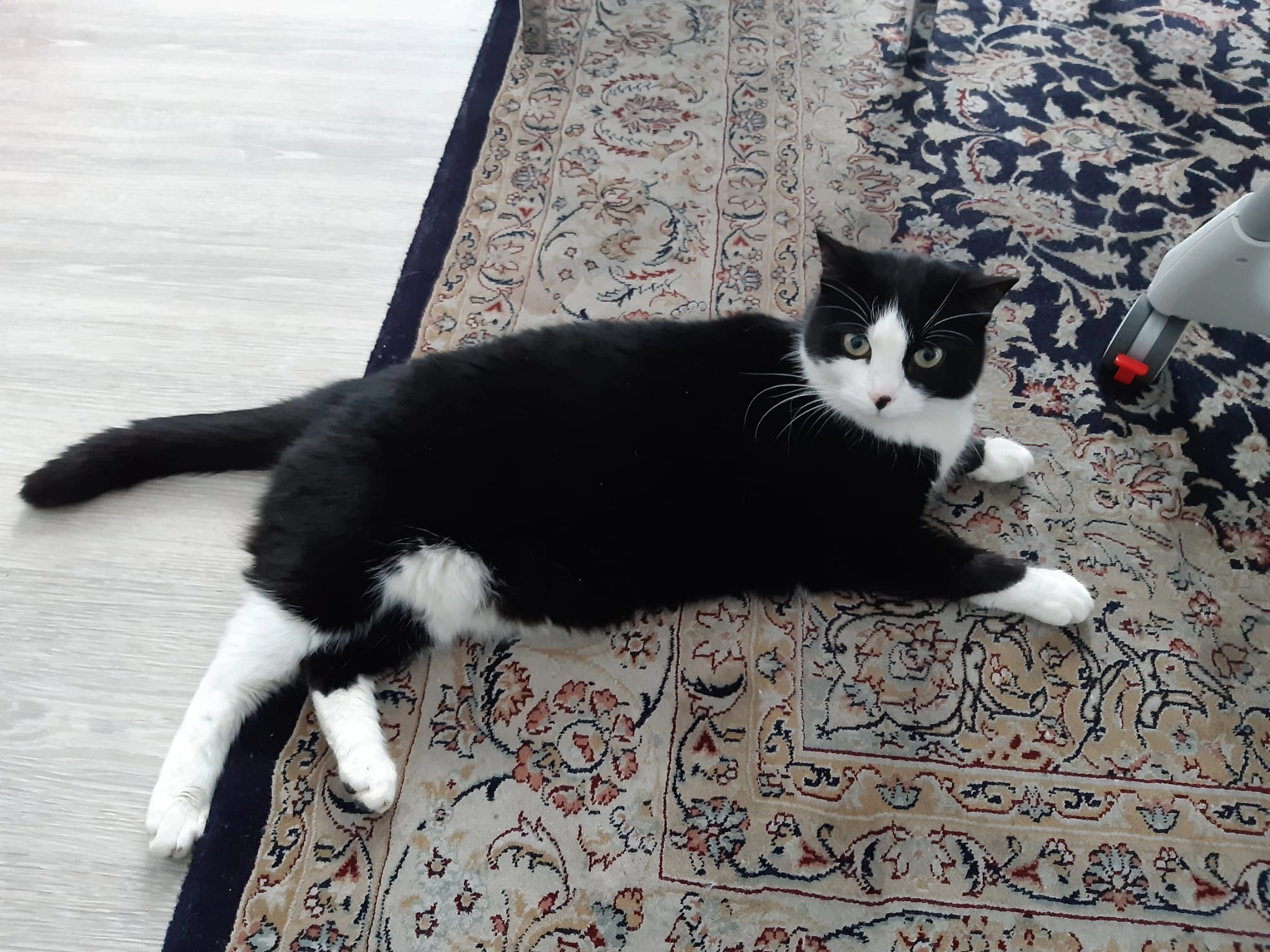 Emma - Fontanestraße, Senden