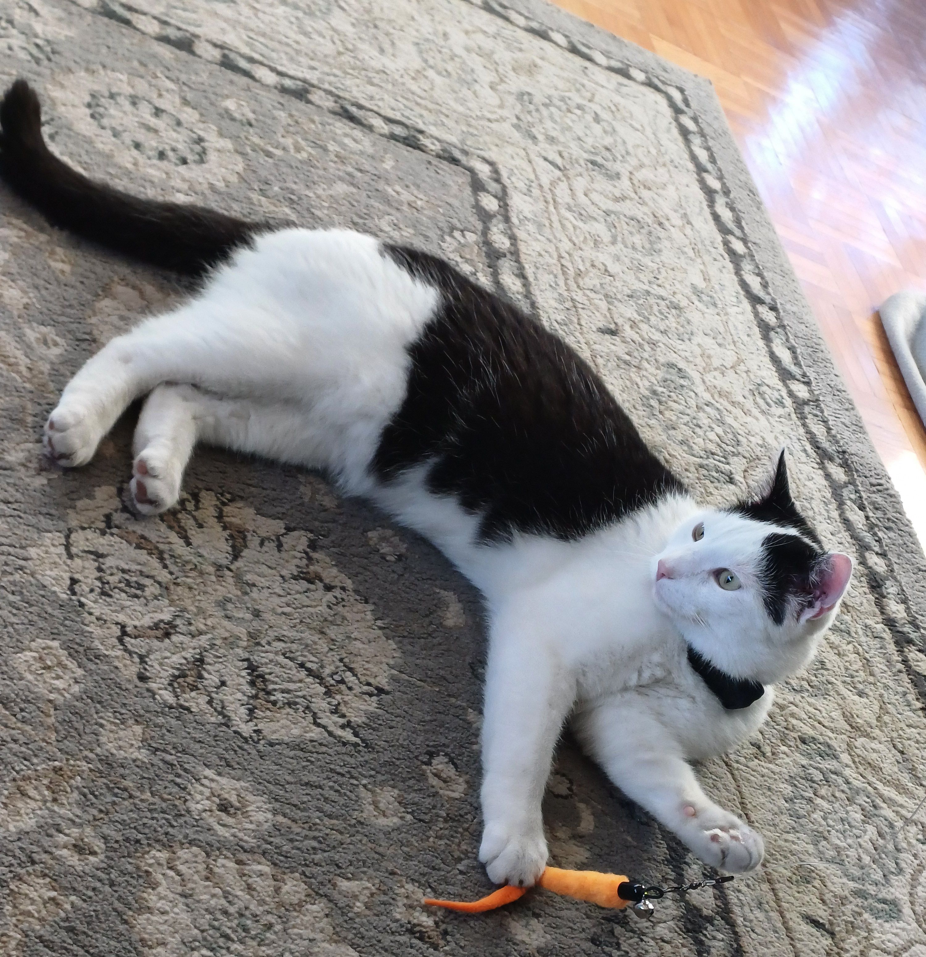 Viktor - St 2235, Burglengenfeld