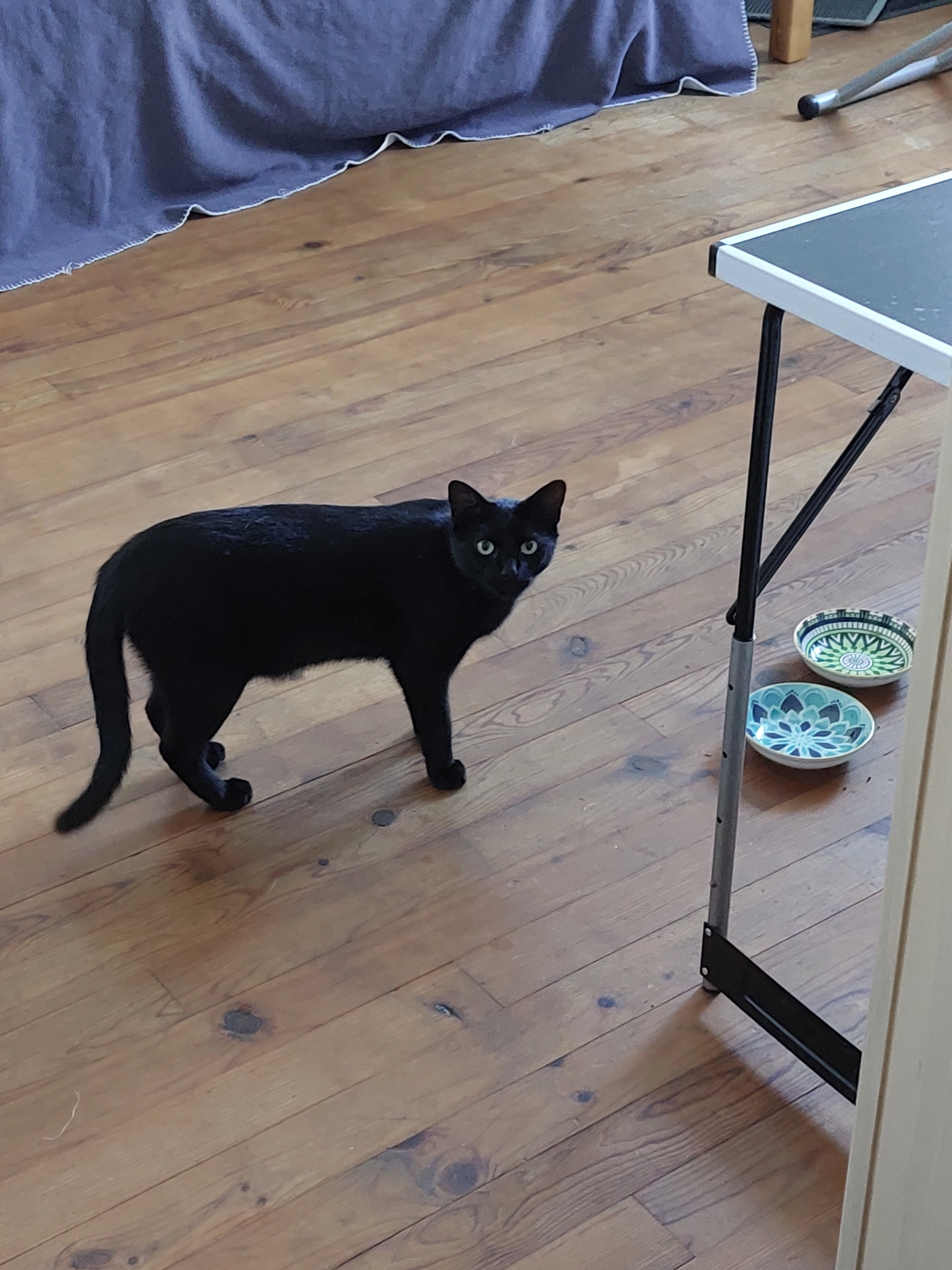 Kuro - Saarlouiser Straße, Überherrn