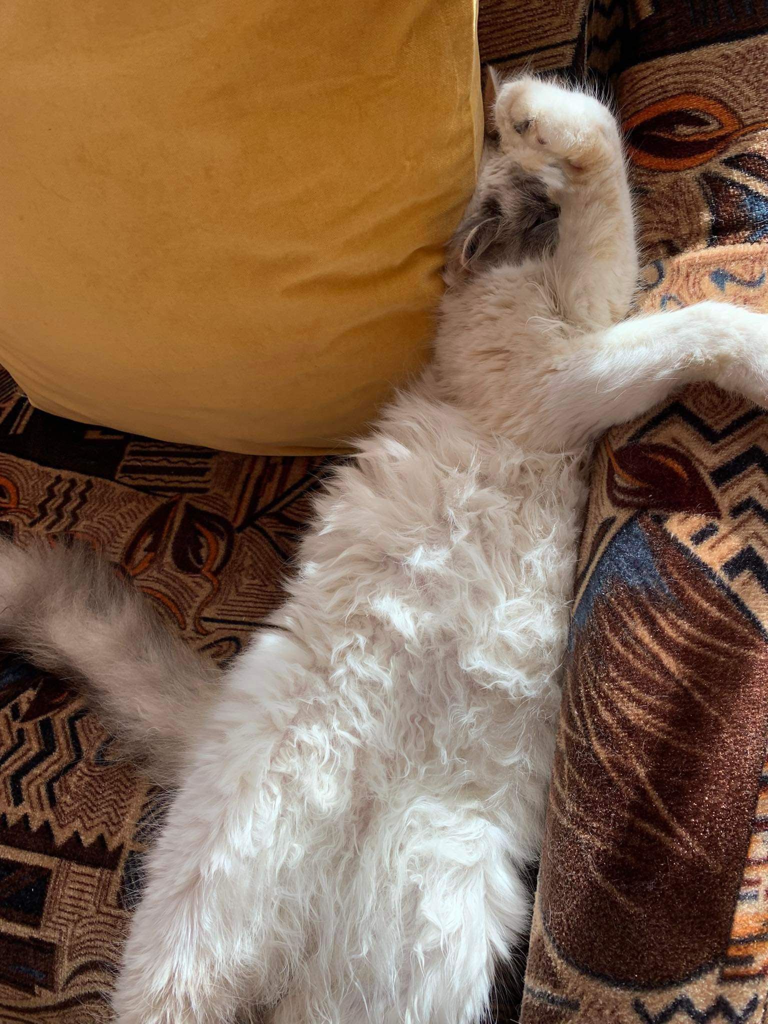 Morkyte  - Aguonų takas 3, Palanga