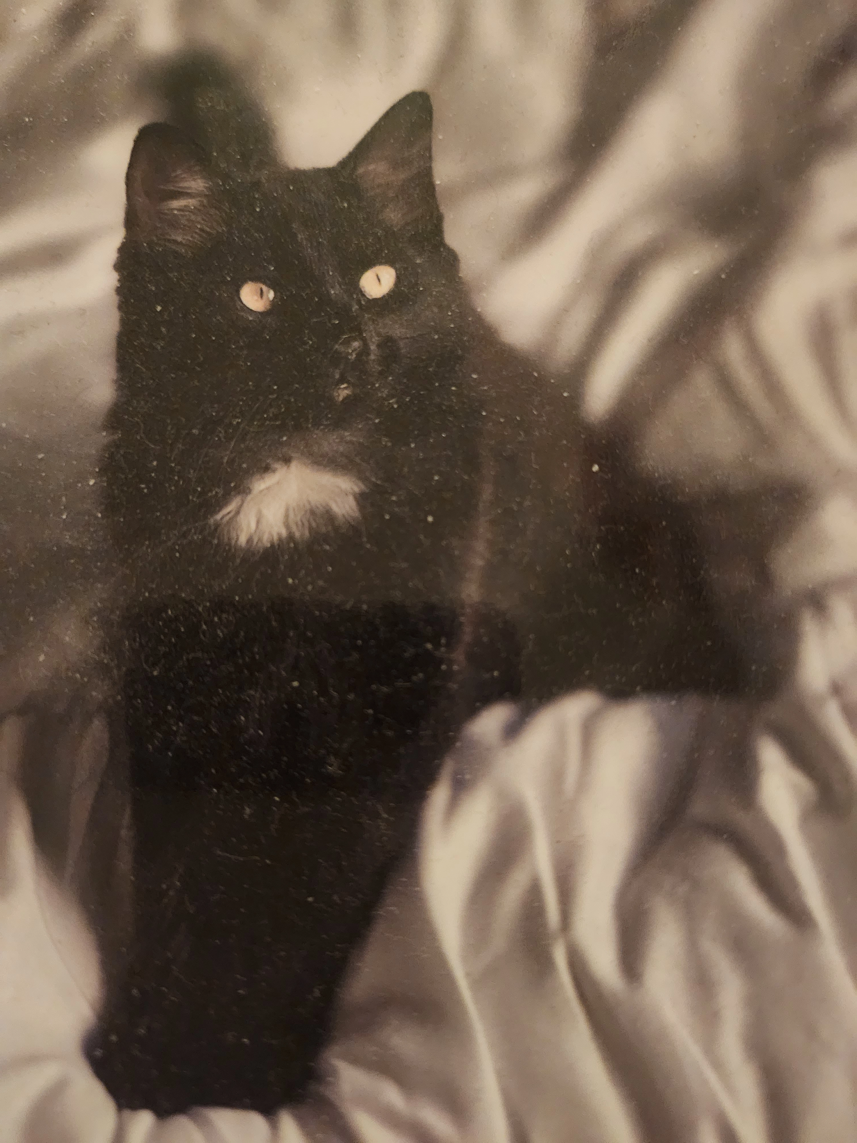 Leo - Cooper Close, Markfield