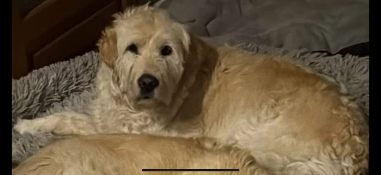 SAORI - Impasse Des Galets, Saint-Clair-du-Rhône