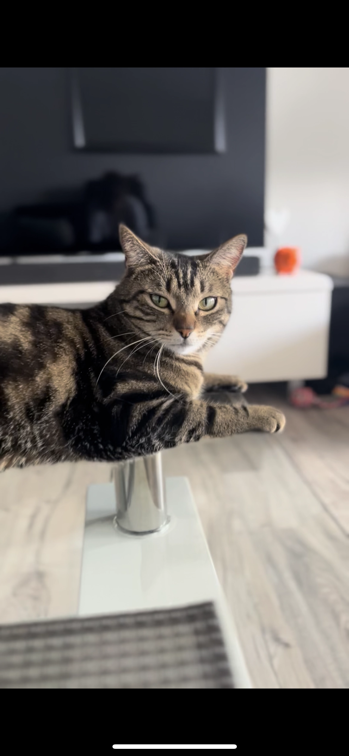 Luna - Rue De Beauséjour, Beaune