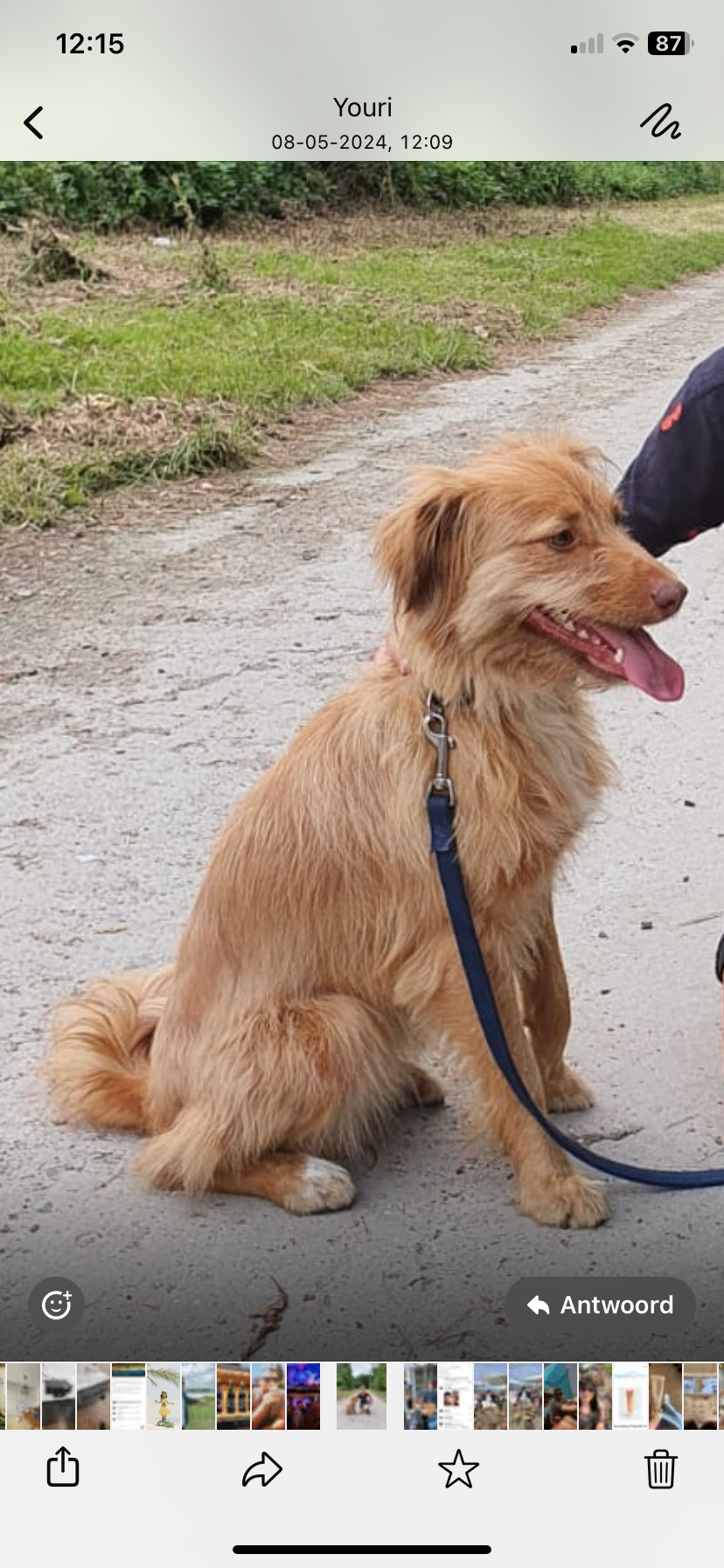 Duffy - Rue Du Château, Havelange