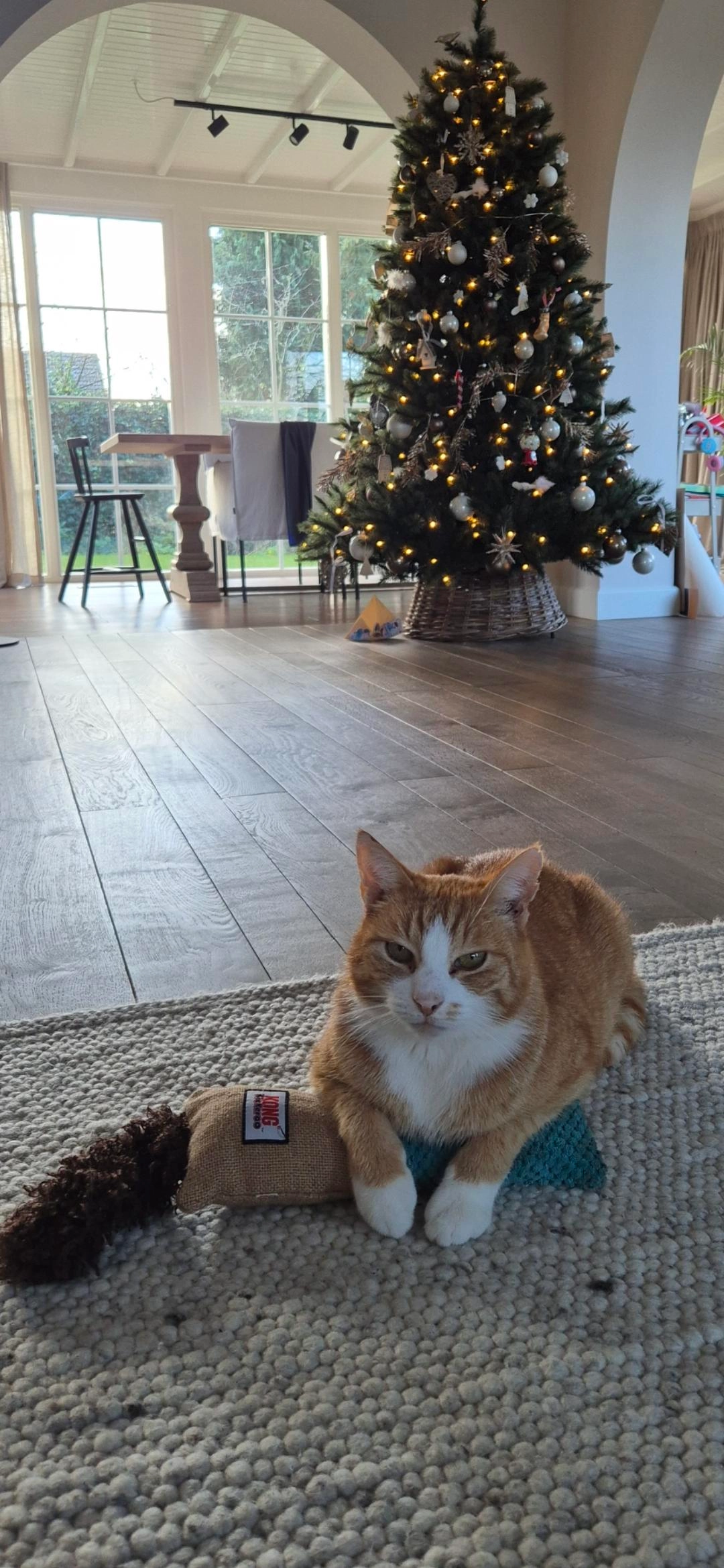 Croky - Langewijk, Dedemsvaart