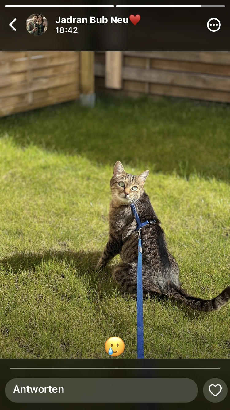 Roufi  - Hohlweg 4, 63874 Dammbach