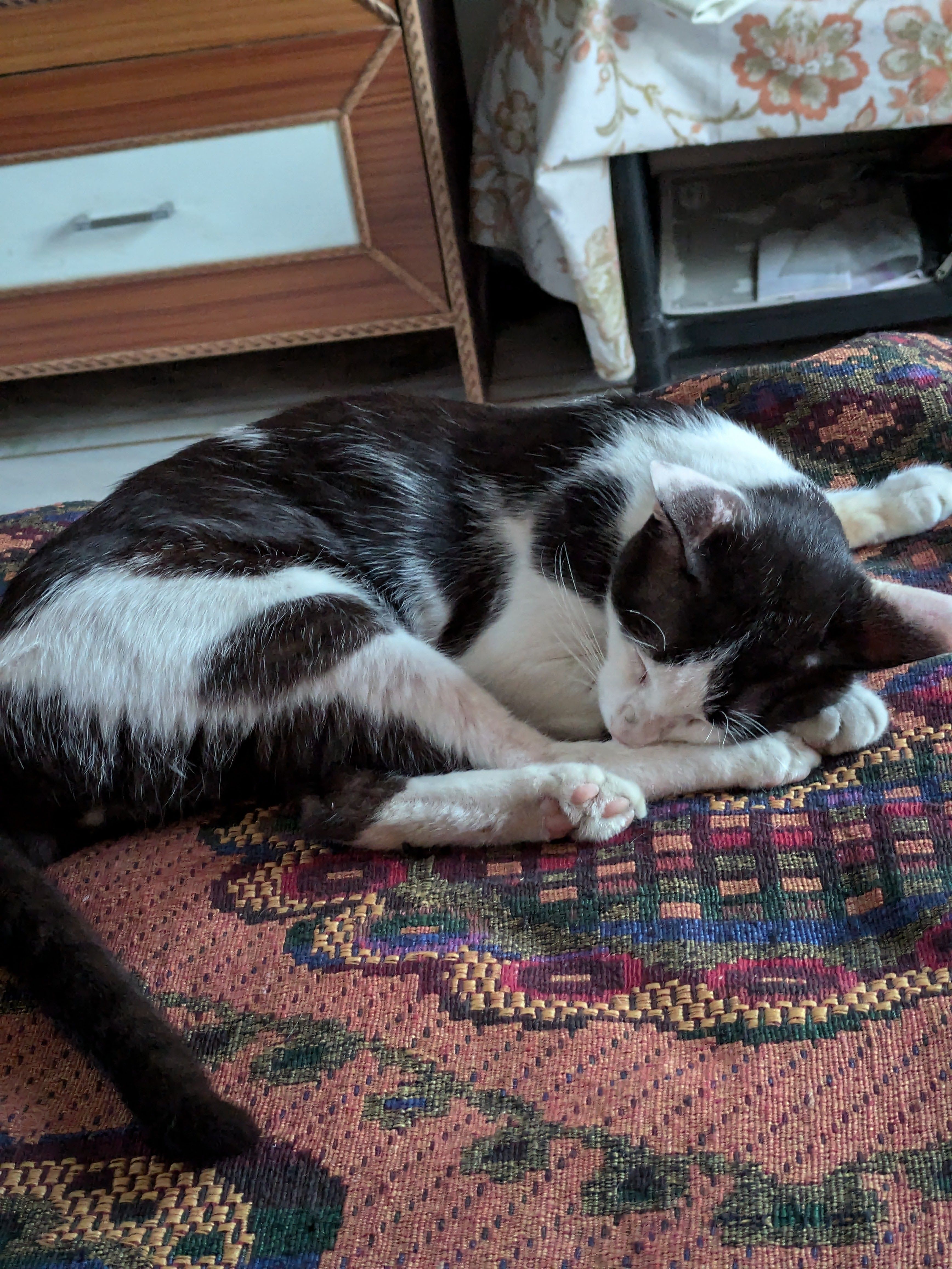 Bhandu - Kalika Mandir Colony, Haldwani